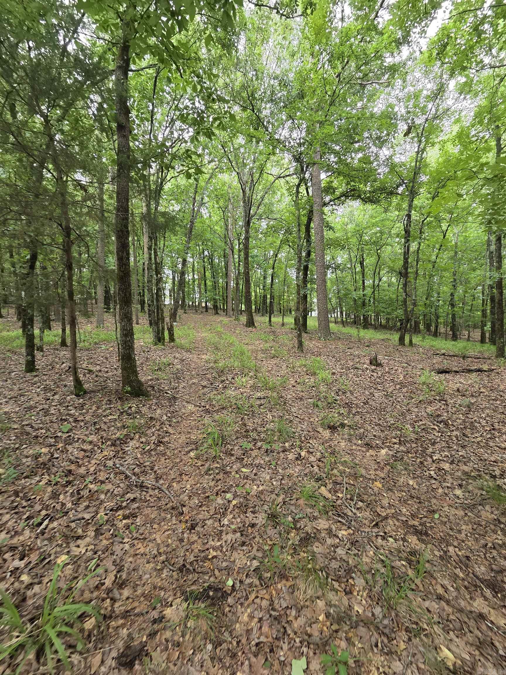 Not in Subdivision - Land