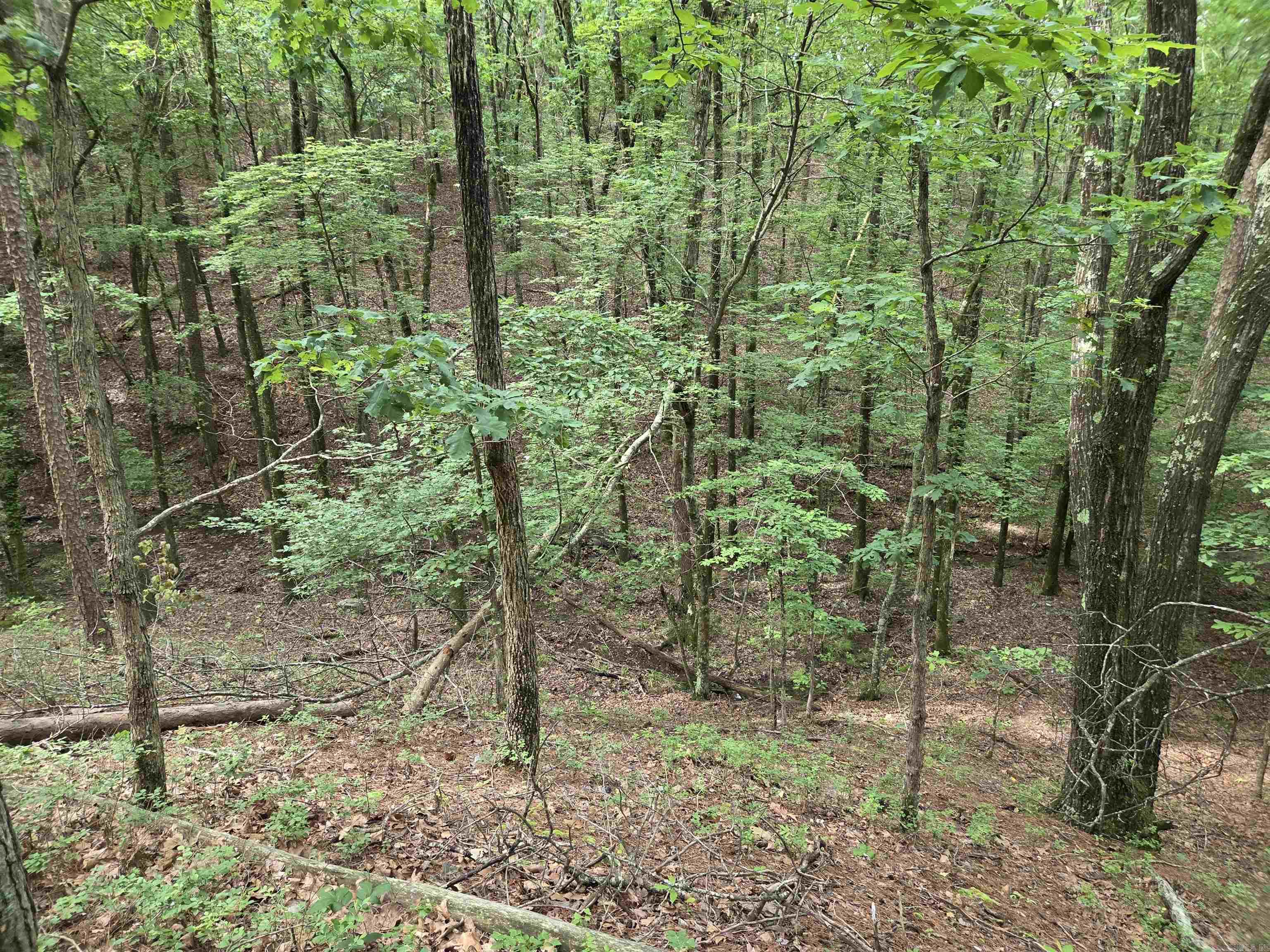 Not in Subdivision - Land