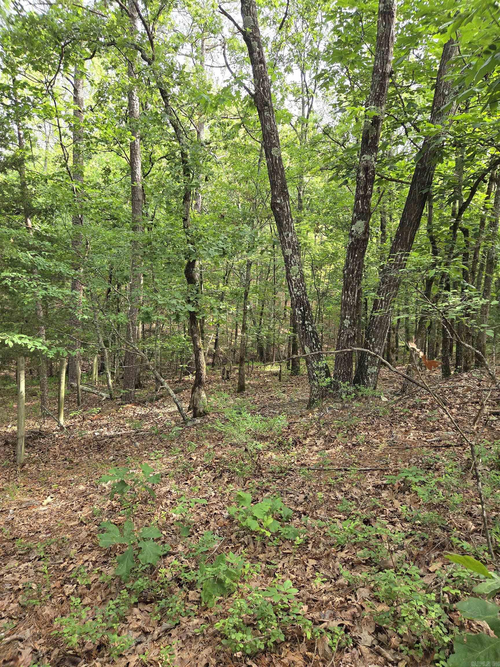 Not in Subdivision - Land