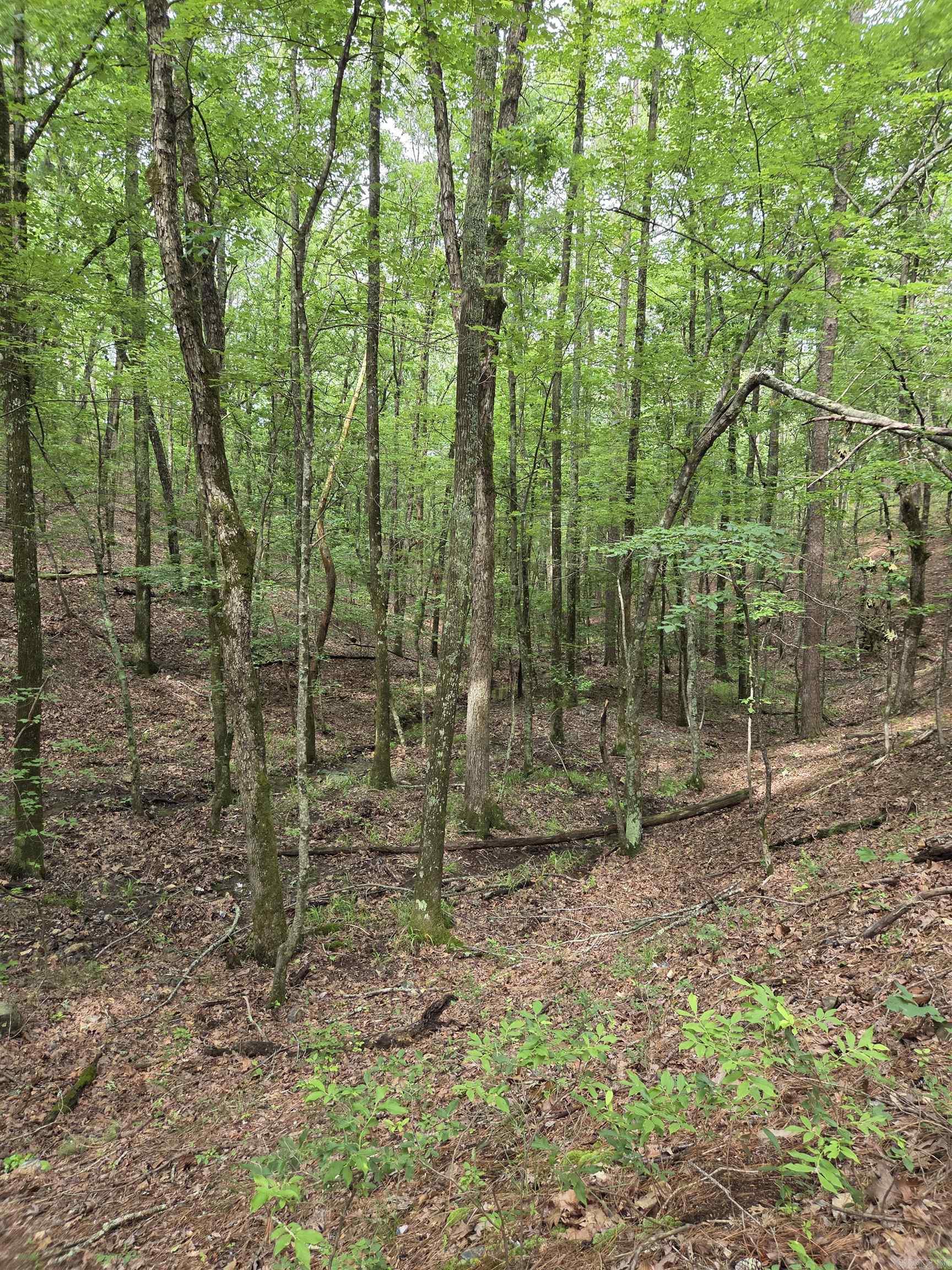 Not in Subdivision - Land