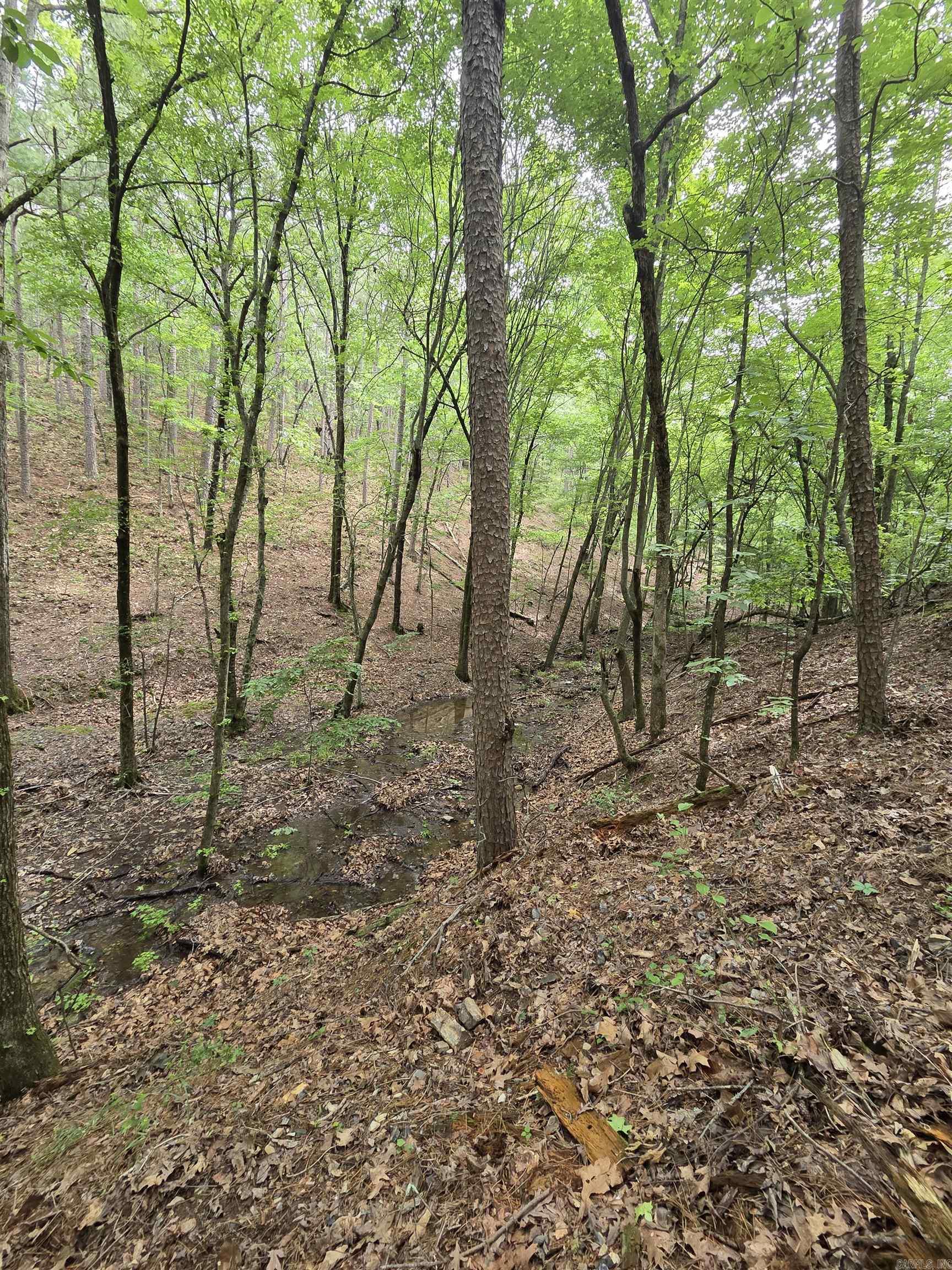Not in Subdivision - Land
