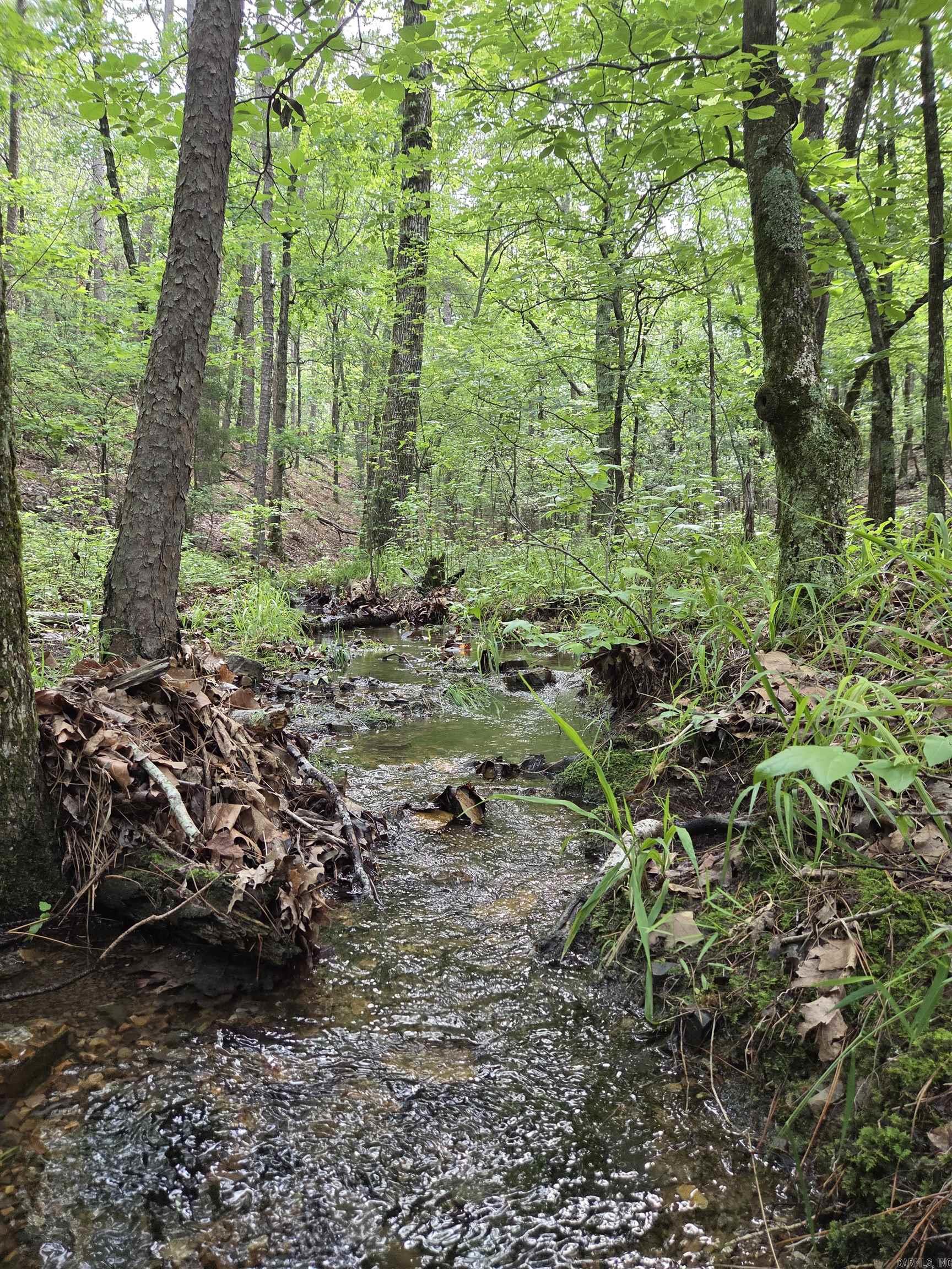 Want a beautiful home site in the country or how about a possible income producing property? 10.66 wooded acres that seem secluded, yet so close to town! 10 minutes or less to downtown Mena and the new bike trails! Electric already available on the property with meter loop on the pole. An unfinished deer hunting cabin started in 2011 could finished out. A small creek meanders through the property, enhancing its appeal. This land has plenty of wildlife which include deer, turkey and the occasional bear. How about just a get away that includes four-wheeling on the Wolf Pen Gap Trails just minutes away? Pull up to the property, unload those ATVs and ride until you're ready to load up & go home. To the west is a beautiful view of sunsets behind the mountain. Build your dream home here or just come to play. Previous survey with pins in place. Don't miss this one!
