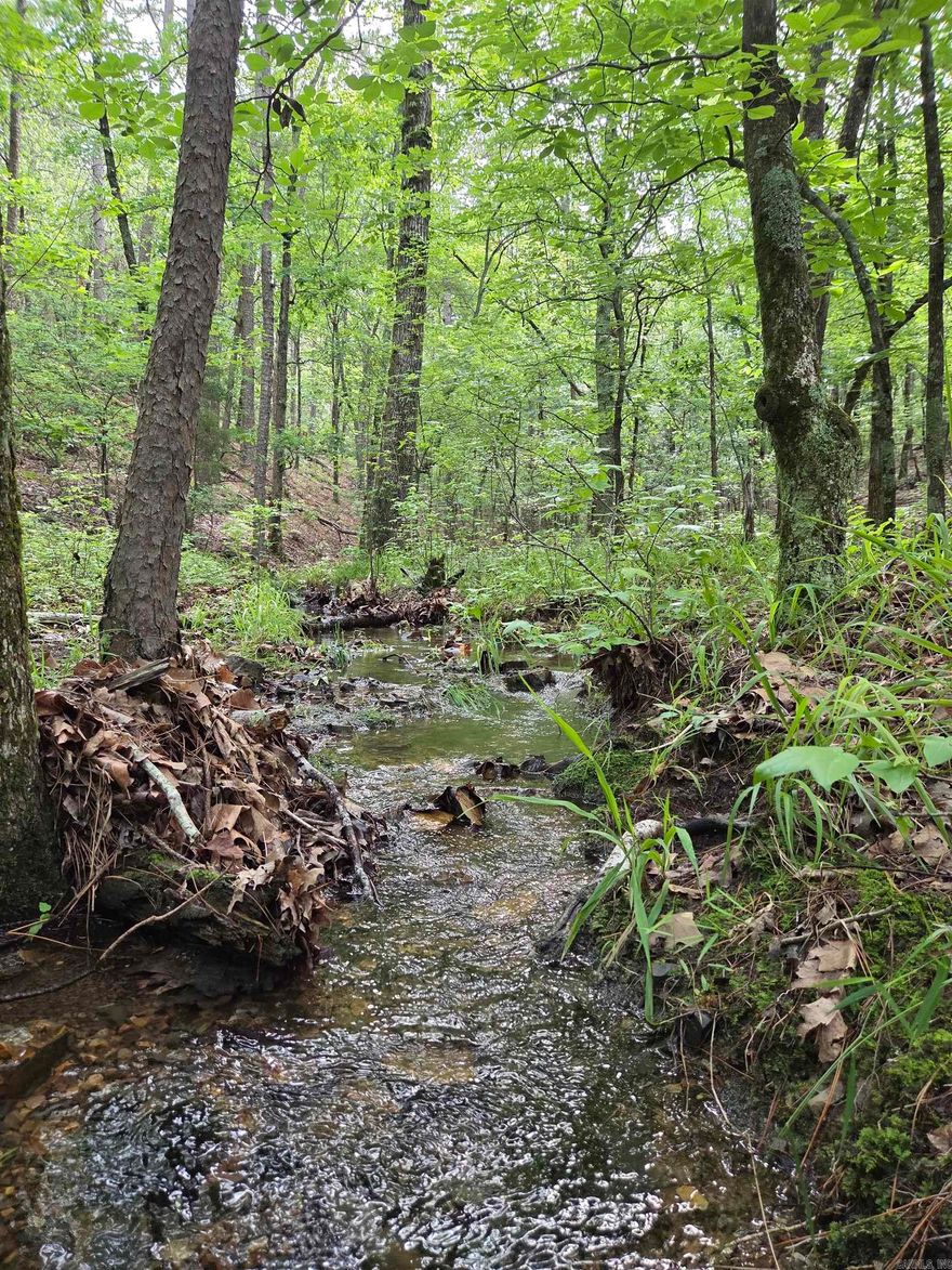 Want a beautiful home site in the country or how about a possible income producing property? 10.66 wooded acres that seem secluded, yet so close to town! 10 minutes or less to downtown Mena and the new bike trails! Electric already available on the property with meter loop on the pole. An unfinished deer hunting cabin started in 2011 could finished out. A small creek meanders through the property, enhancing its appeal.  This land has plenty of wildlife which include deer, turkey and the occasional bear. How about just a get away that includes four-wheeling on the Wolf Pen Gap Trails just minutes away? Pull up to the property, unload those ATVs and ride until you're ready to load up & go home. To the west is a beautiful view of sunsets behind the mountain. Build your dream home here or just come to play. Previous survey with pins in place. Don't miss this one!