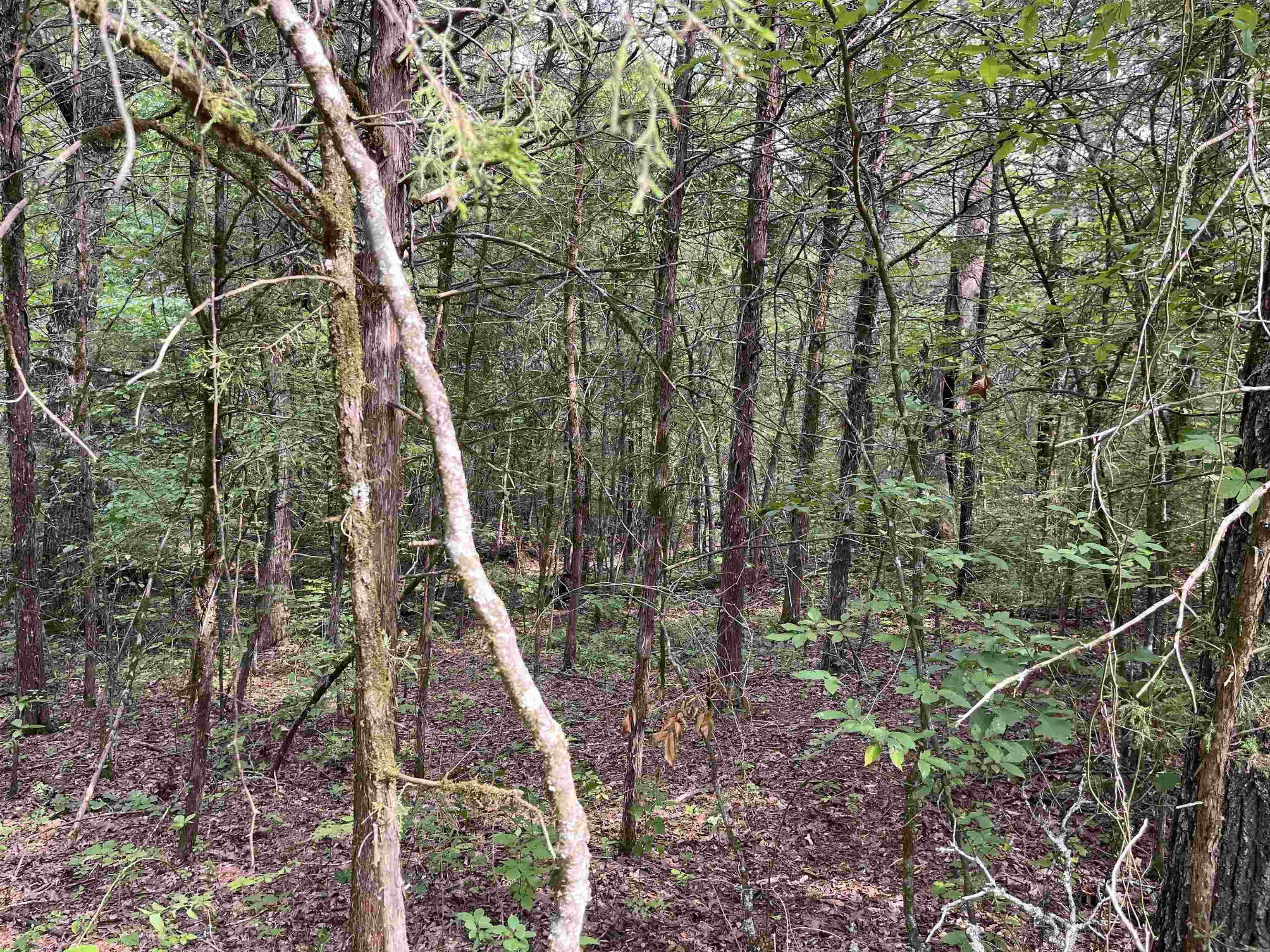 Vacant unimproved lot