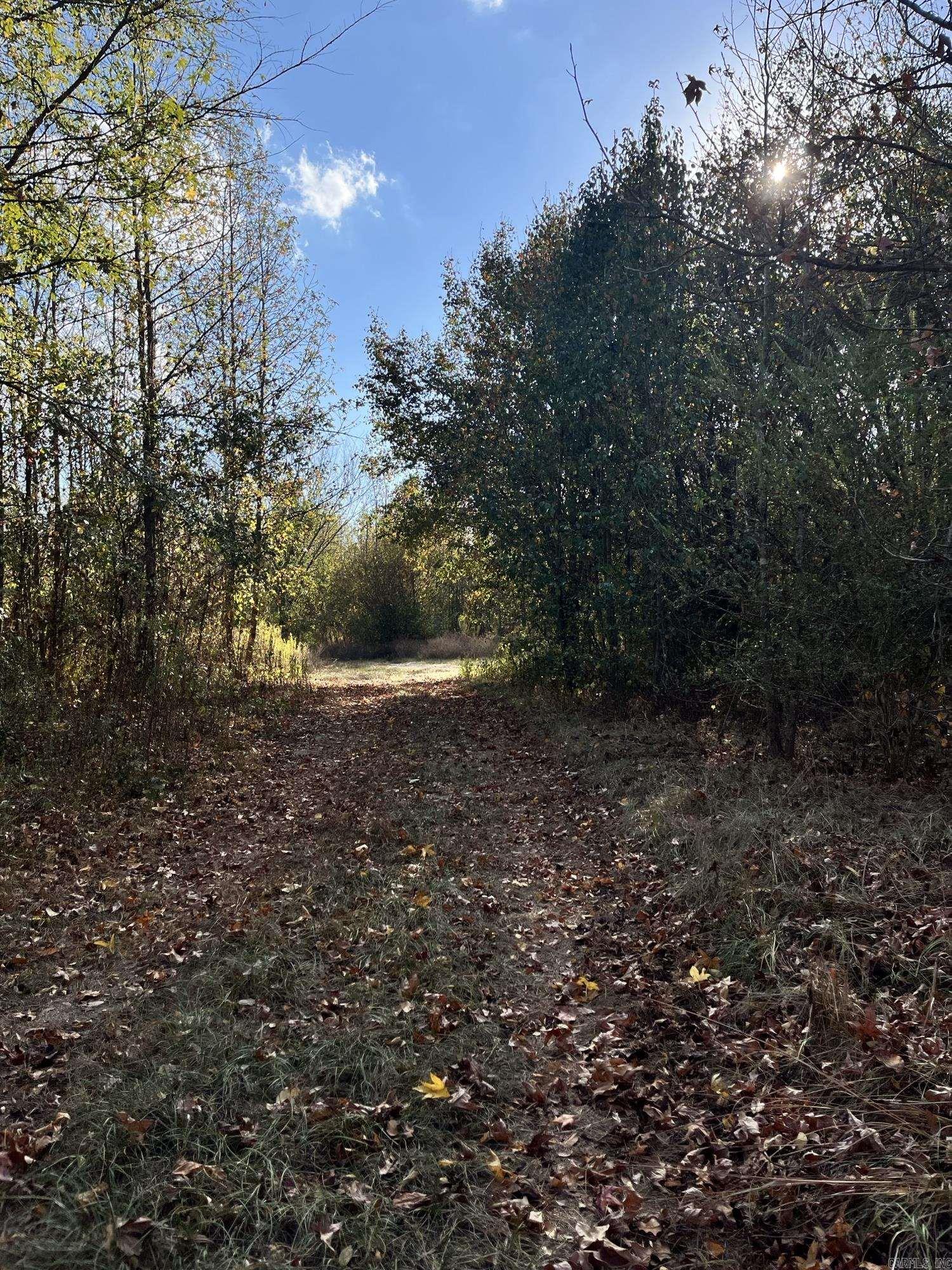 Explore the endless potential of this 3.60-acre unrestricted property in Hot Springs, AR! With no restrictions, you're free to create the perfect space for a home, cabin retreat, or more! There is already a concrete slab on the land, ready for use! Close to local amenities, this beautiful piece of land is ready for your imagination!
