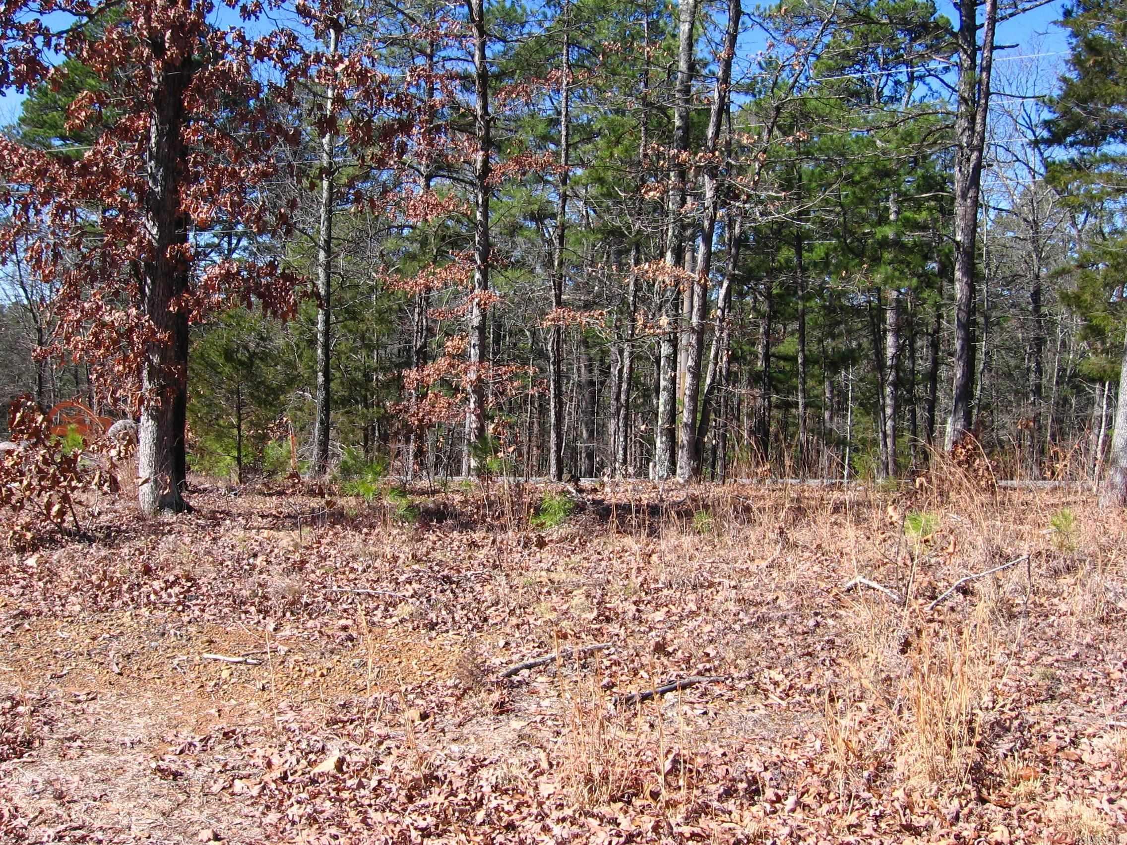Osage Point - Land