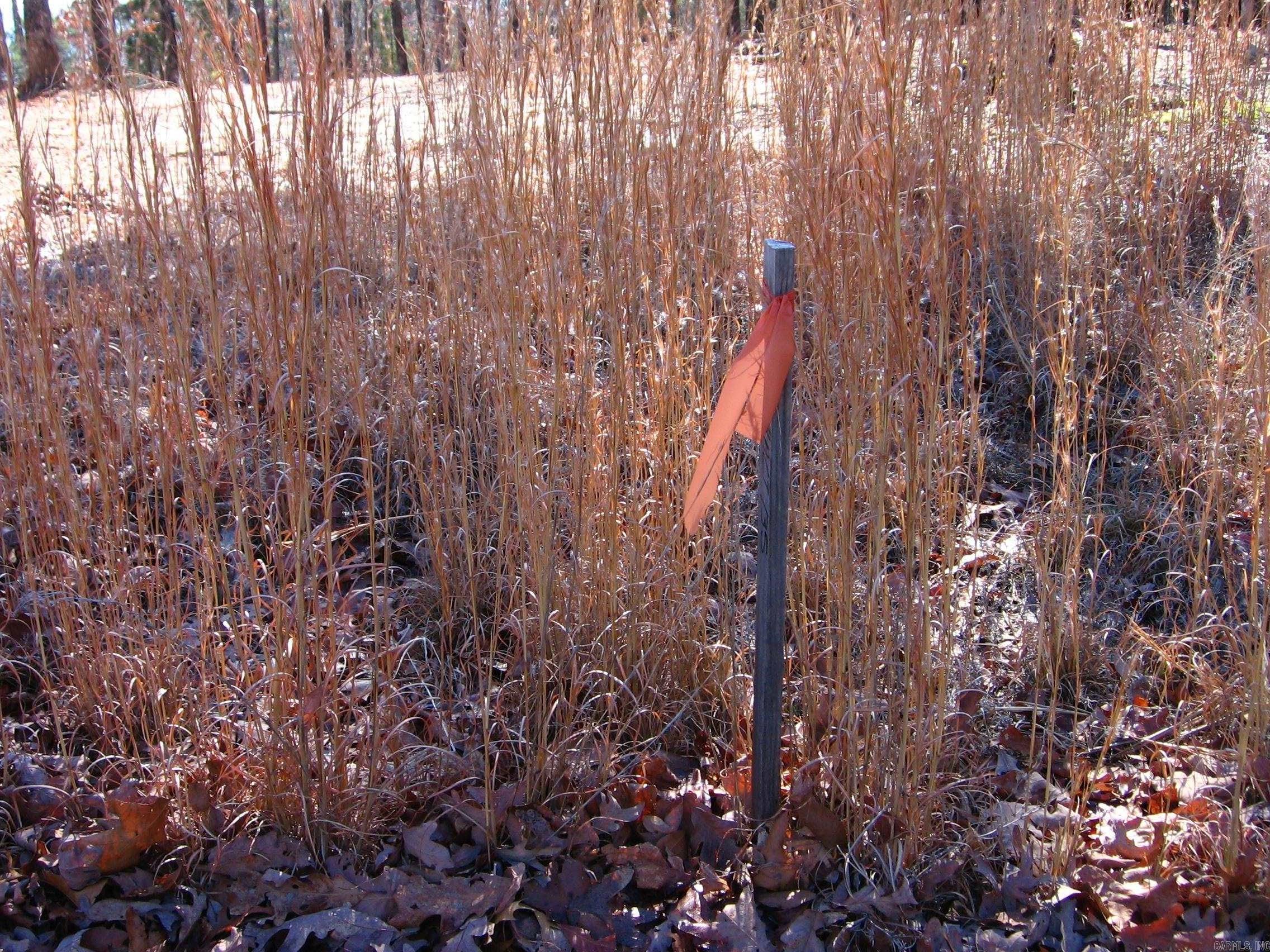 Osage Point - Land