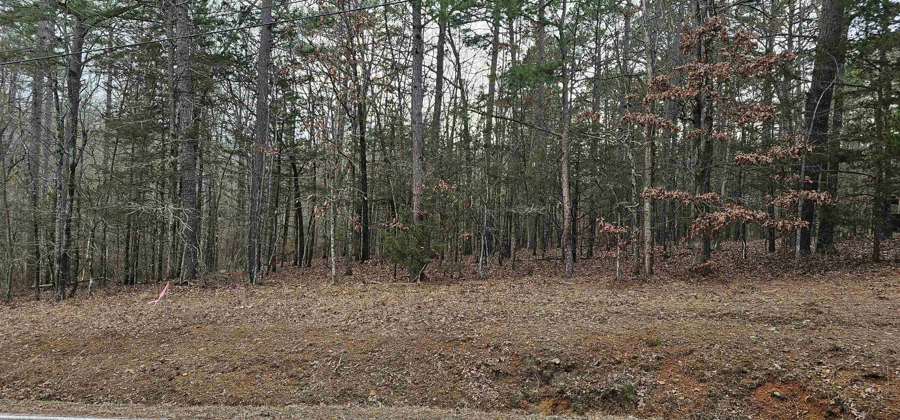 Discover the perfect canvas for your vision with this beautiful, undeveloped parcel of land. Ideal for building your dream home, investment, or recreational retreat. Nestled in Hamilton Hills, this property offers stunning natural views, peace, and privacy while still being within close proximity and access to all Fairfield Bay has to offer.