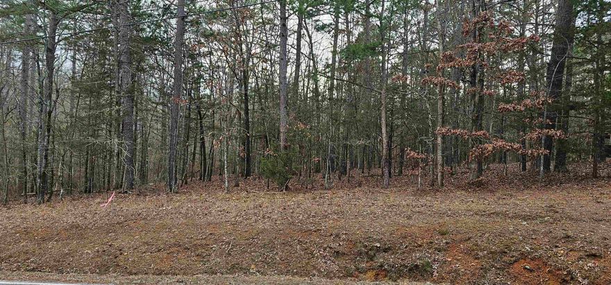 Discover the perfect canvas for your vision with this beautiful, undeveloped parcel of land. Ideal for building your dream home, investment, or recreational retreat. Nestled in Hamilton Hills, this property offers stunning natural views, peace, and privacy while still being within close proximity and access to all Fairfield Bay has to offer.