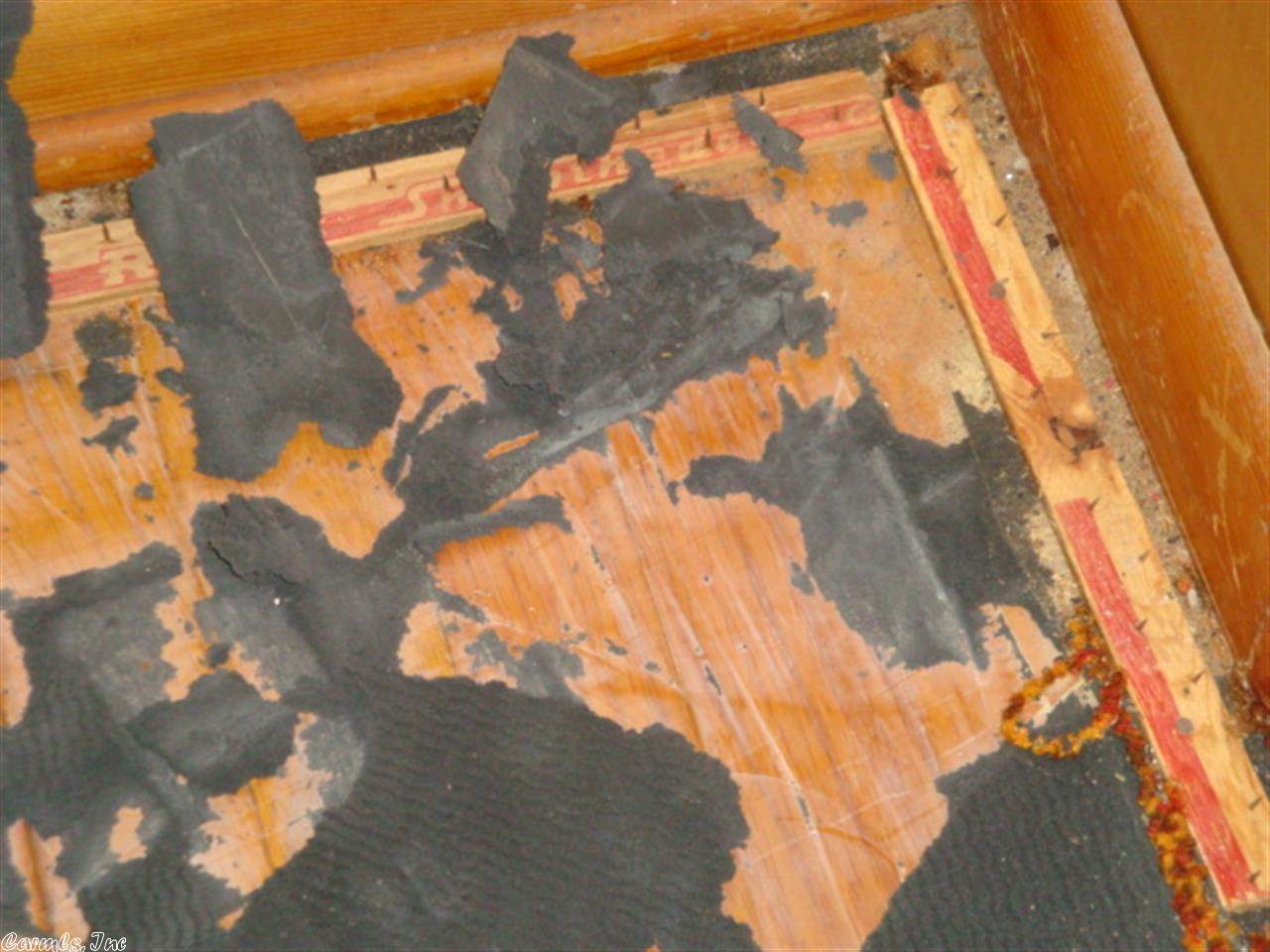 Steward - Residential