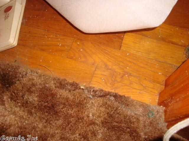 Steward - Residential