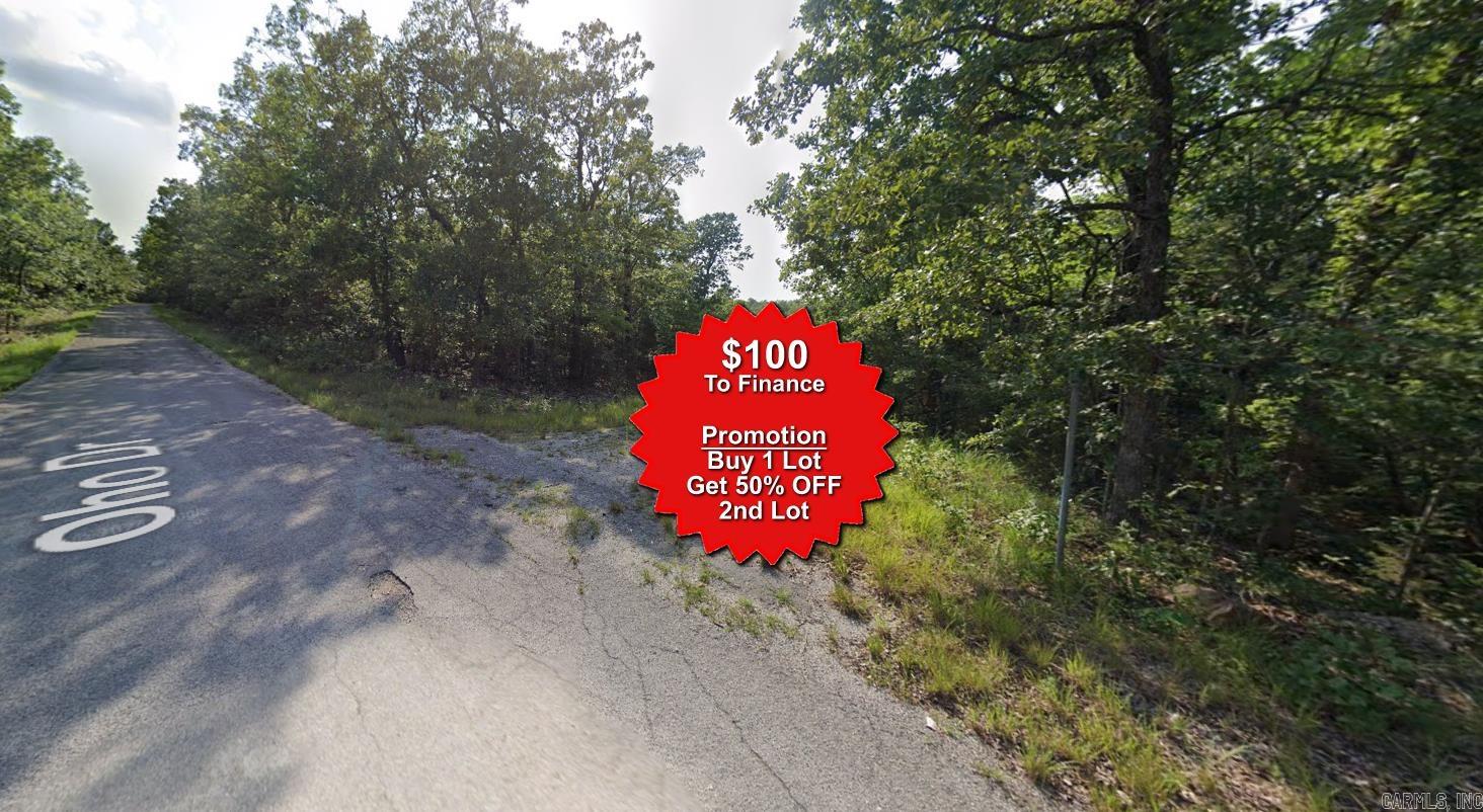 Buy one lot and get 50% off an additional lot! Owner-finance for easy terms. Cash buyers can pay by debit or credit card as well. Nice lot to develop or hold for future value. Public water and electric are available to run to property and will need septic. Owner/agent. No mobiles allowed. 1000 minimum build size on any other type of home, depending on subdivision. Finance is $100 down and 10 months at $99 and closing costs are included. Lots marked with red banner are part of promotion. No limit on lots. Buyer responsible for any/all taxes and lots sold "as-is". Quit claim deed conveys. Parcel ID# 350-19621-000