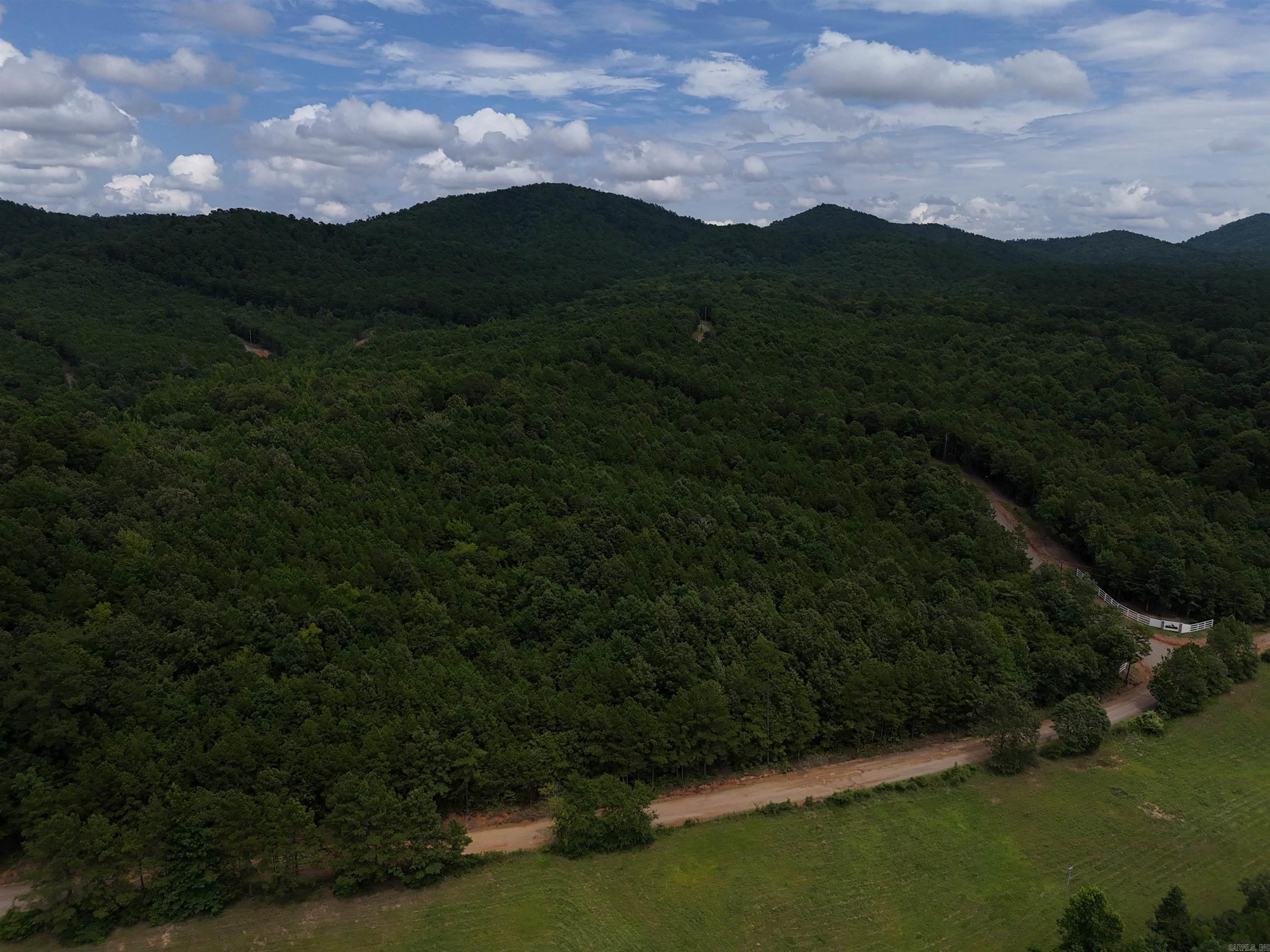 Build your dream home on this 3.23 acre tract in the beautiful Rustic Ridge Subdivision! Enjoy mountain views, peaceful surroundings, wildlife, and a great location just minutes to downtown Mena. Ride straight to the Wolf Pen Gap west trailhead which is just 12 miles away. Electric is available, and a survey is completed. This lot is a beautiful place to build, relax and explore - come take a look today!