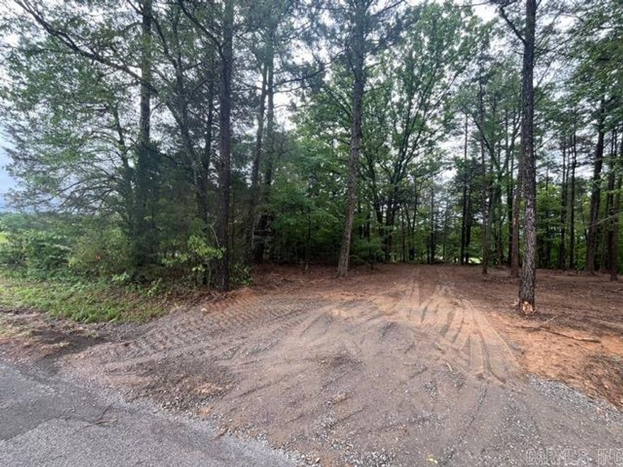 Discover the perfect blend of privacy and accessibility with this beautiful 6-acre wooded property. Featuring approximately 1,100 feet of road frontage, this tract offers exceptional access and flexibility for future development. A cleared driveway is already in place, making it easy to walk the land or start planning your build right away. Surrounded by mature trees, the property provides a peaceful, secluded setting while still maintaining convenient road access. With no restrictions, you have the freedom to build, place a mobile home, create a recreational retreat, or use the land however you choose. All utilities are available, making this property even more ready for your vision. Whether you’re looking to build your dream home, create a weekend getaway, or invest in land with strong potential, this property checks all the boxes. Enjoy the beauty of nature, abundant wildlife, and the freedom that comes with owning your own piece of land.
