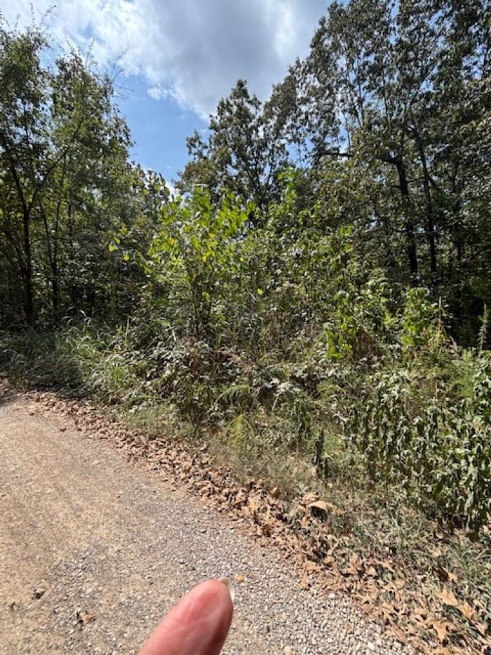 City water available, electricity buried, private yet not remote. Mobile homes are allowed if less than 10 years old. Quiet neighborhood but only a few minutes to the schools and shopping. Very unique property with boundless wildlife! Surveyed and recorded.