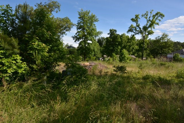 Tanglewood Estates - Land