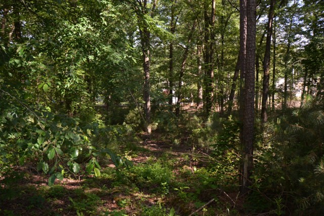 Tanglewood Estates - Land