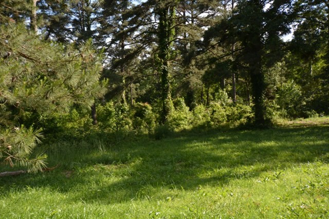 Tanglewood Estates - Land