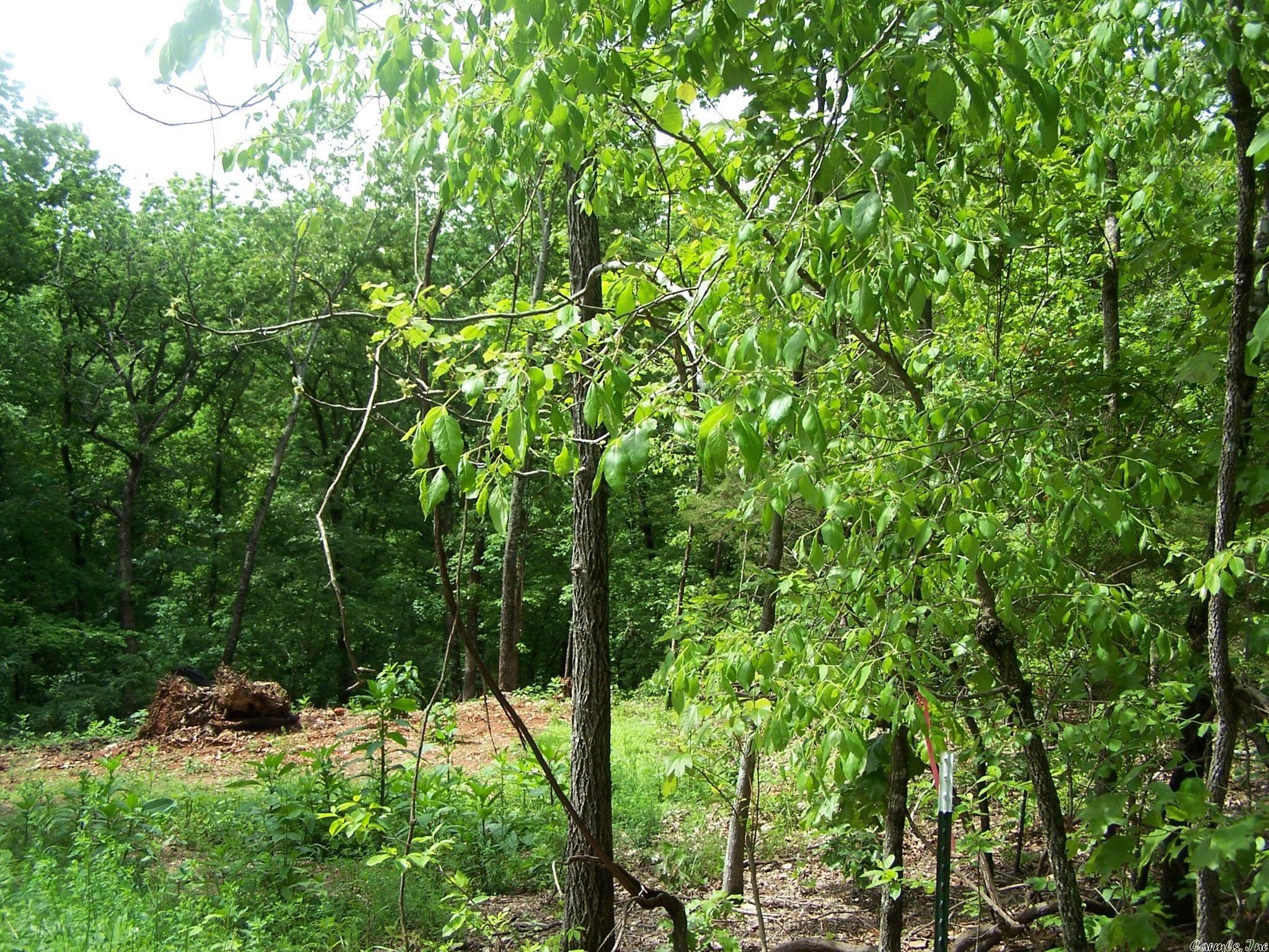 Woodland Hills - Land