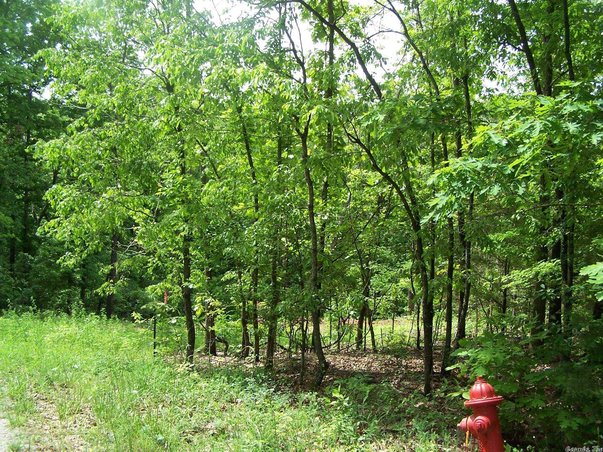 Woodland Hills - Land