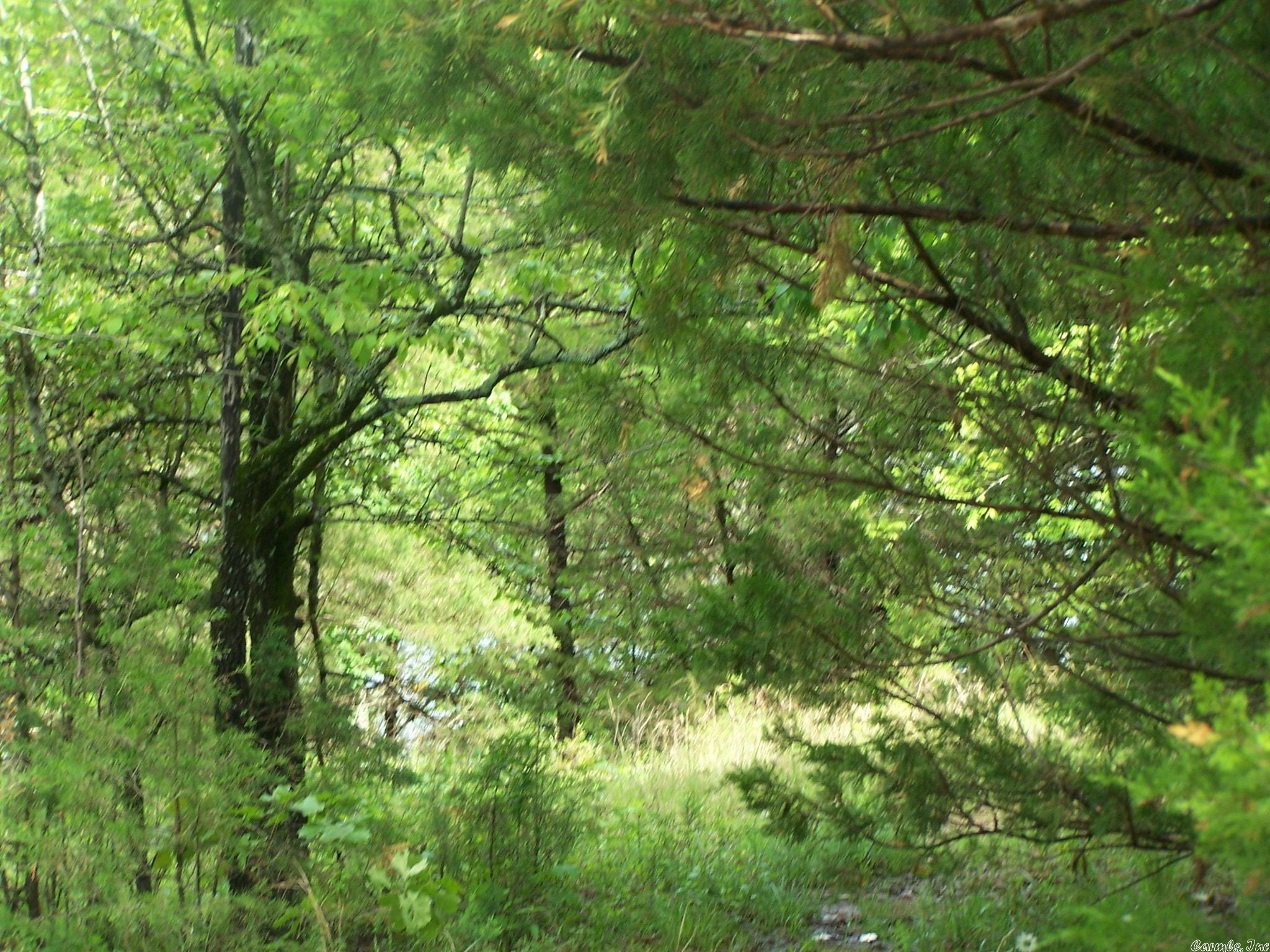 Woodland Hills - Land