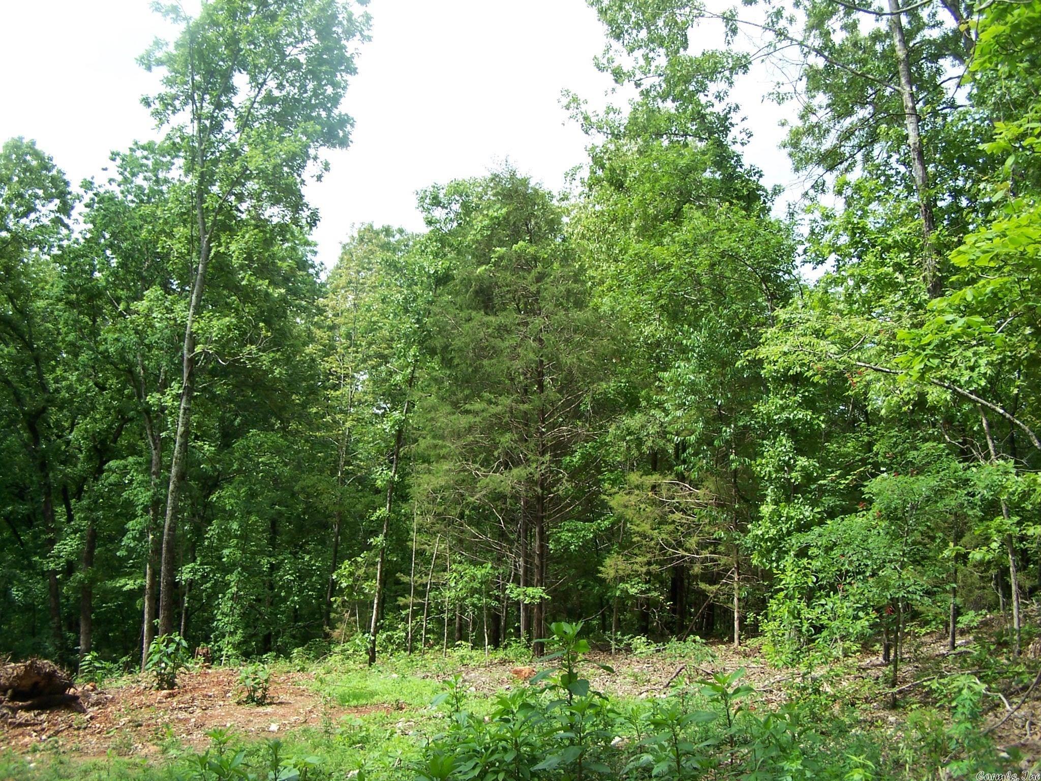 Woodland Hills - Land