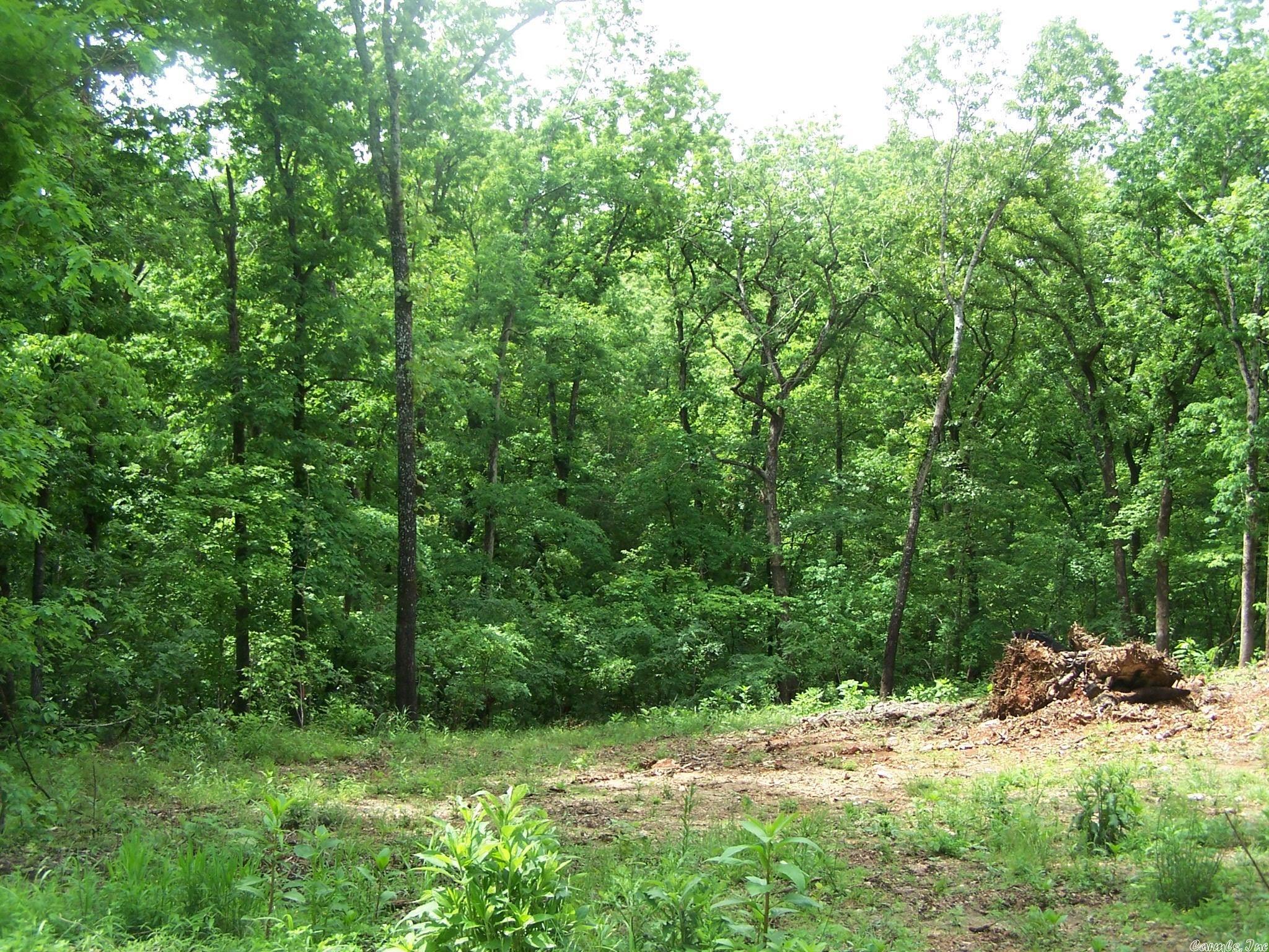 Woodland Hills - Land