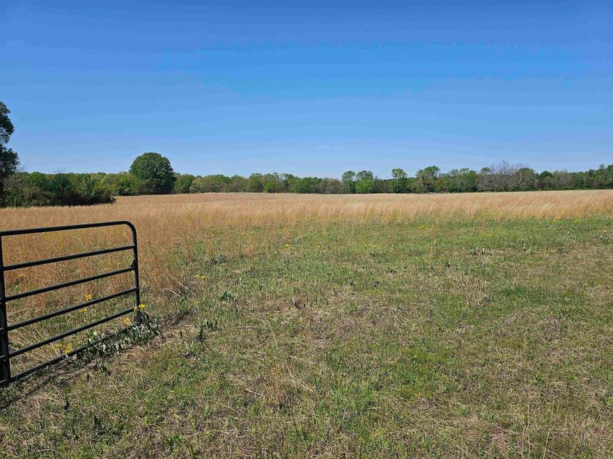 This beautiful pasture land is level, currently cut for hay, and provides multiple building sites for you! This property is right outside of Oppelo City Limits and has no restrictions. Bring your horses or cattle! No utilities on property. Will need septic installed if building/developing. First Electric is the area electricity provider. Connect2First provides Fiber Internet here. There is a 10' utility easement used by the 2 homes to the north of this property. The 10' utility easement runs along the north and western side of this property.