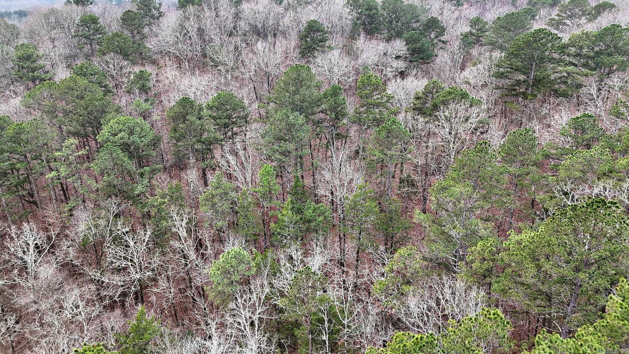 Potter - Residential