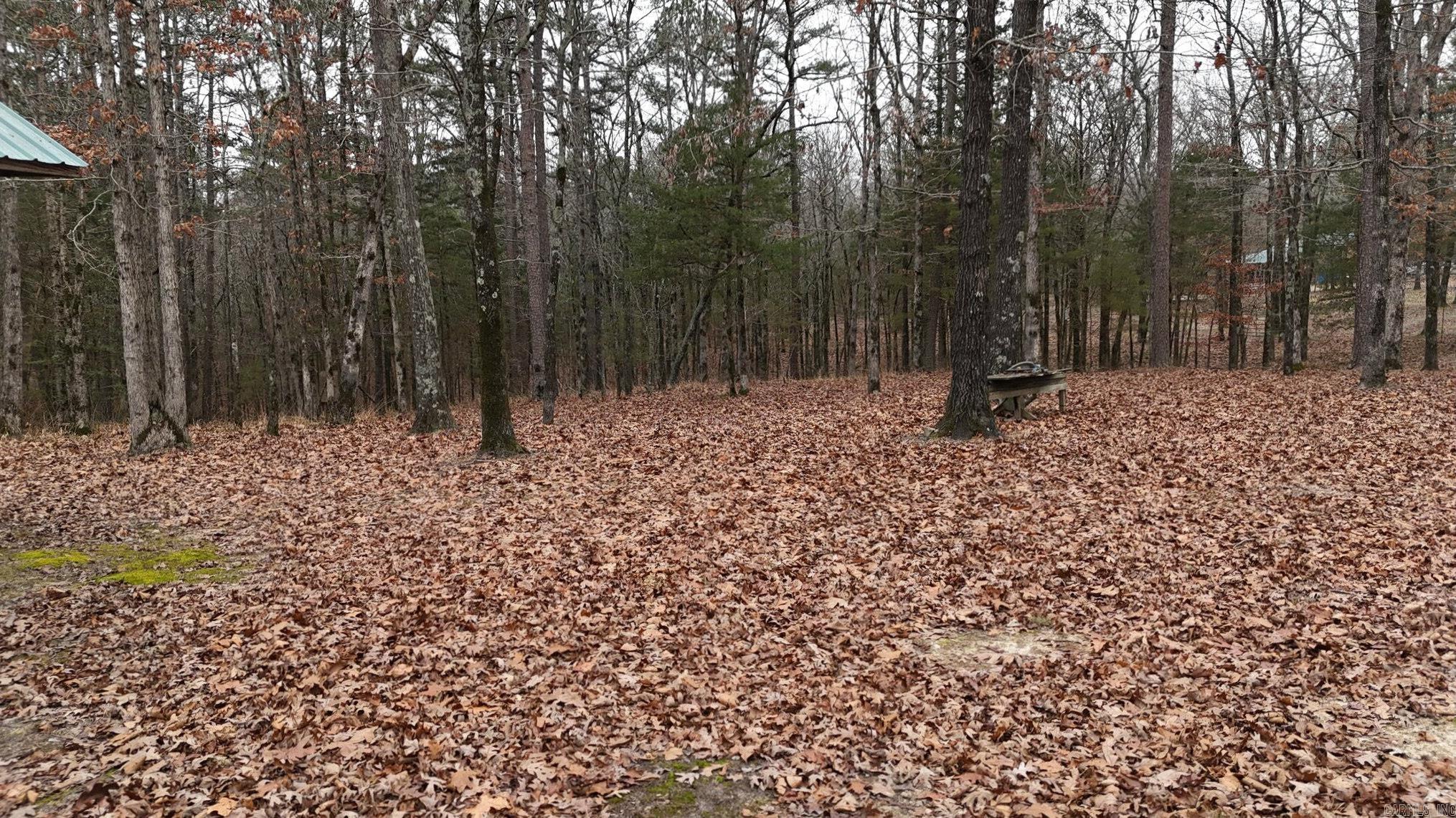 Potter - Residential