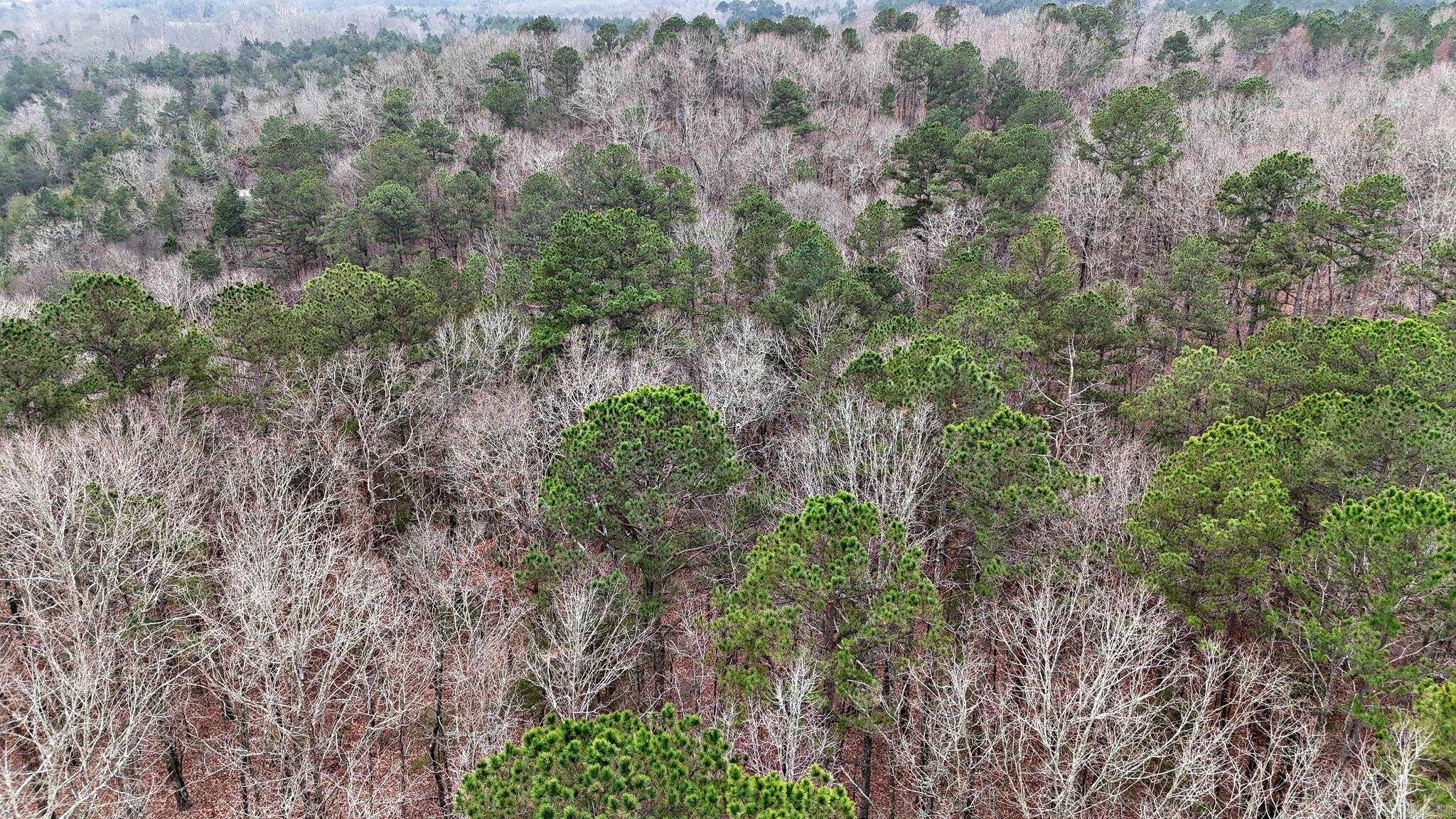 Potter - Residential