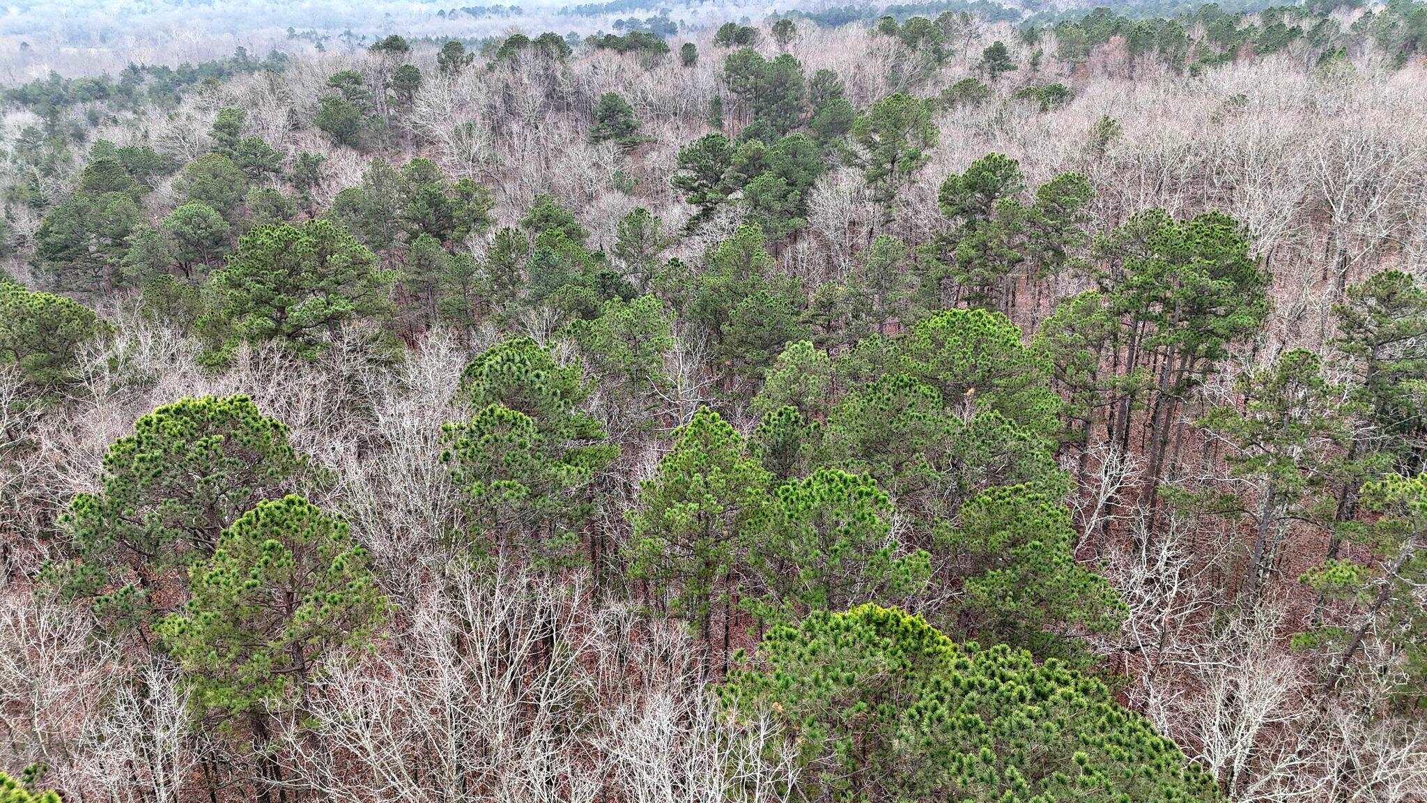 Potter - Residential