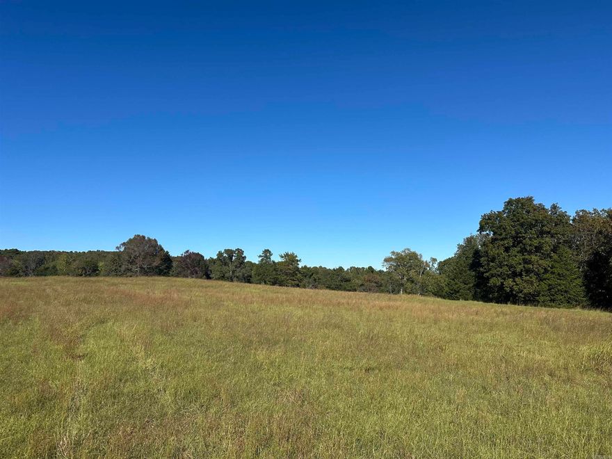 Beautiful piece of property on West side of Searcy.  Enjoy some woods and some fishing in a pond after you have built that home to enjoy some of nature's amenities.  19.79 acres