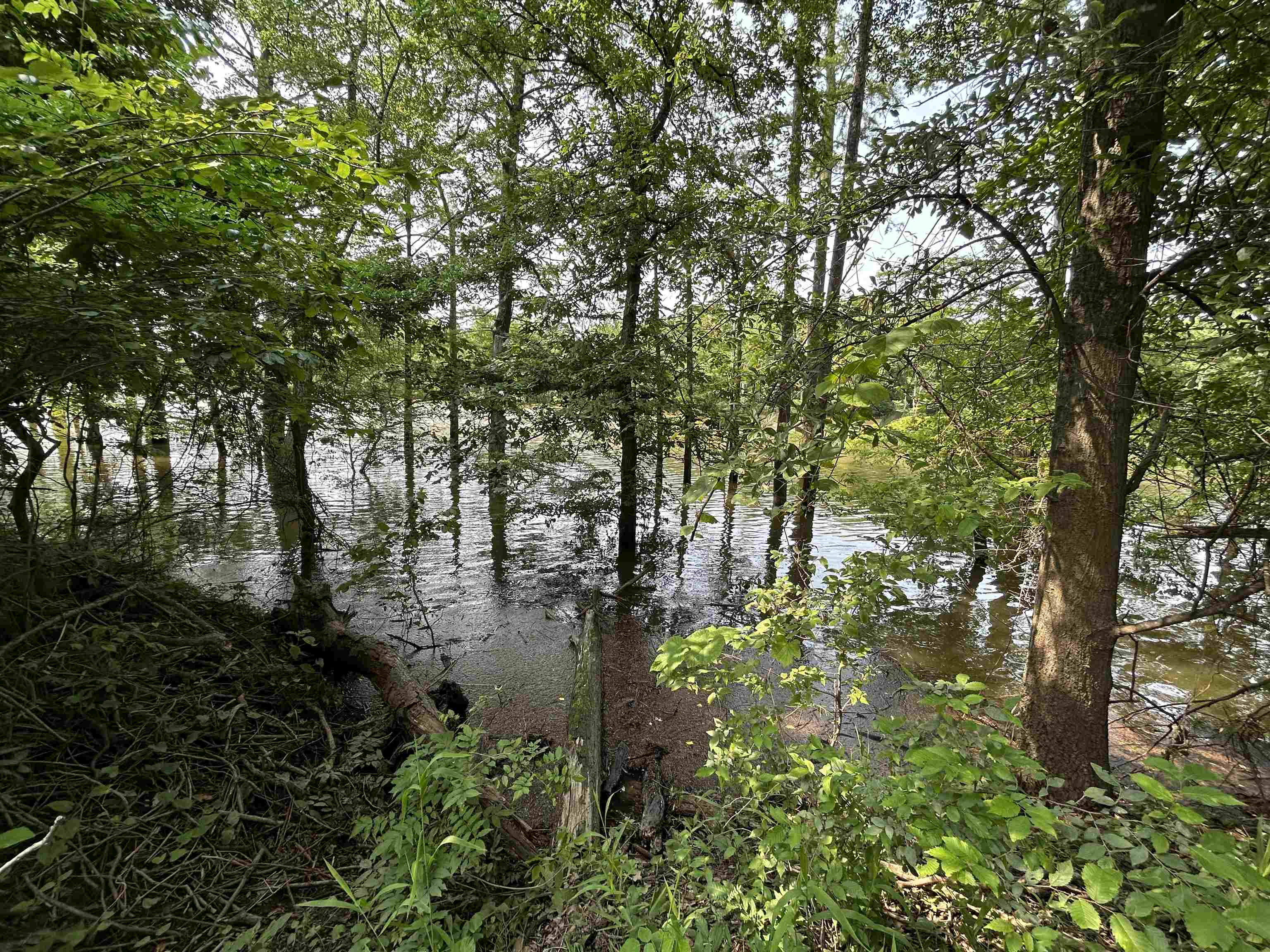 Discover your perfect slice of paradise at Portia Bay! This property offers serene water access, making it ideal for fishing, kayaking, or simply enjoying the peaceful surroundings. The land is already equipped with essential utilities water and electricity are available on-site, and a septic system is already installed, saving you time and money. Enjoy the natural beauty of the property, which features mature fruit trees and shade trees that create a tranquil, park-like setting. Whether you're looking to place a mobile home, build a weekend getaway, or invest in a peaceful retreat, this land is ready for you. Don't miss this opportunity to own a move-in-ready piece of land in a beautiful location. Schedule your visit today!