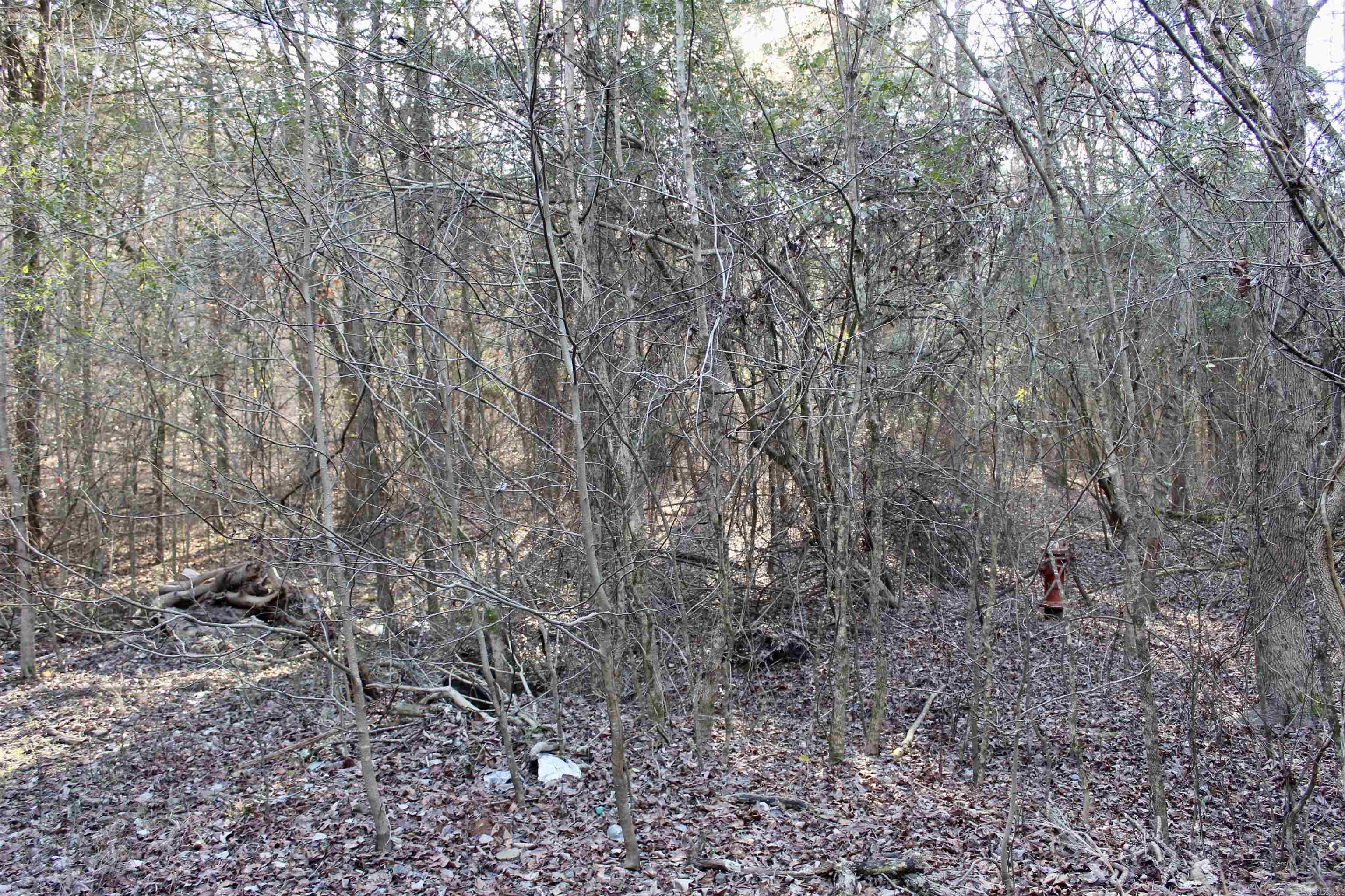 Metes & Bounds - Land