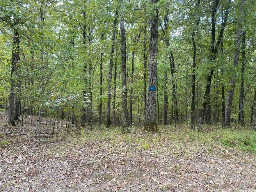 Fantastic Building site for your forever home in Diamante's private golf course located in Hot Springs Village. Largest gated community in the country, 26,000 acres,11 lakes,8 additional golf courses, miles of walking trails, less then 30 min. from Historic down town Hot Springs Oaklawn Race Track/Casino Diamante home to #3 ranked award winning golf course in Arkansas Golf Digest.