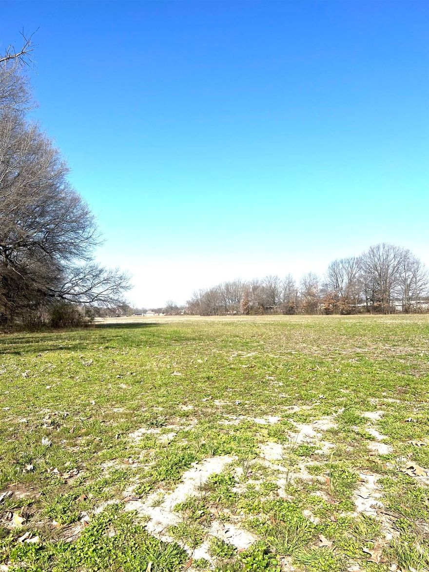 11.46 Acres of Opportunity in a Booming Location! Escape to over 11 acres of breathtaking land, perfectly positioned in a high-growth area yet offering the peace and privacy to create your dream retreat. Whether you envision a private estate surrounded by nature or are searching for the perfect investment,this property is full of possibilities. For developers and investors, this expansive acreage presents an incredible opportunity for future residential projects. With the area's rapid growth, now is the time to secure this prime piece of land and bring your vision to life with around 290 ft of Hwy frontage. Don't miss out on this rare find! Whether you're dreaming, developing, or investing, this property is ready for you. Contact me today to learn more! (property is attached to additional 20.12 acres that may be purchased together)