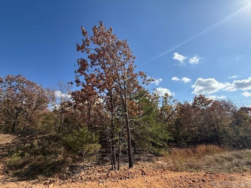 Wooded lot perfect for building your home or building a home to sale.  You could leave trees at the back of the lot for privacy.  All utilities are on the property. 1200 sq. ft. minimum
