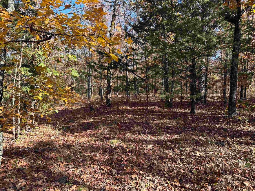 Perfect place on the beatin path to build your dream home or for hunting or weekend get away. 17.39 acres to do with what you please. SEE AGENT REMARKS