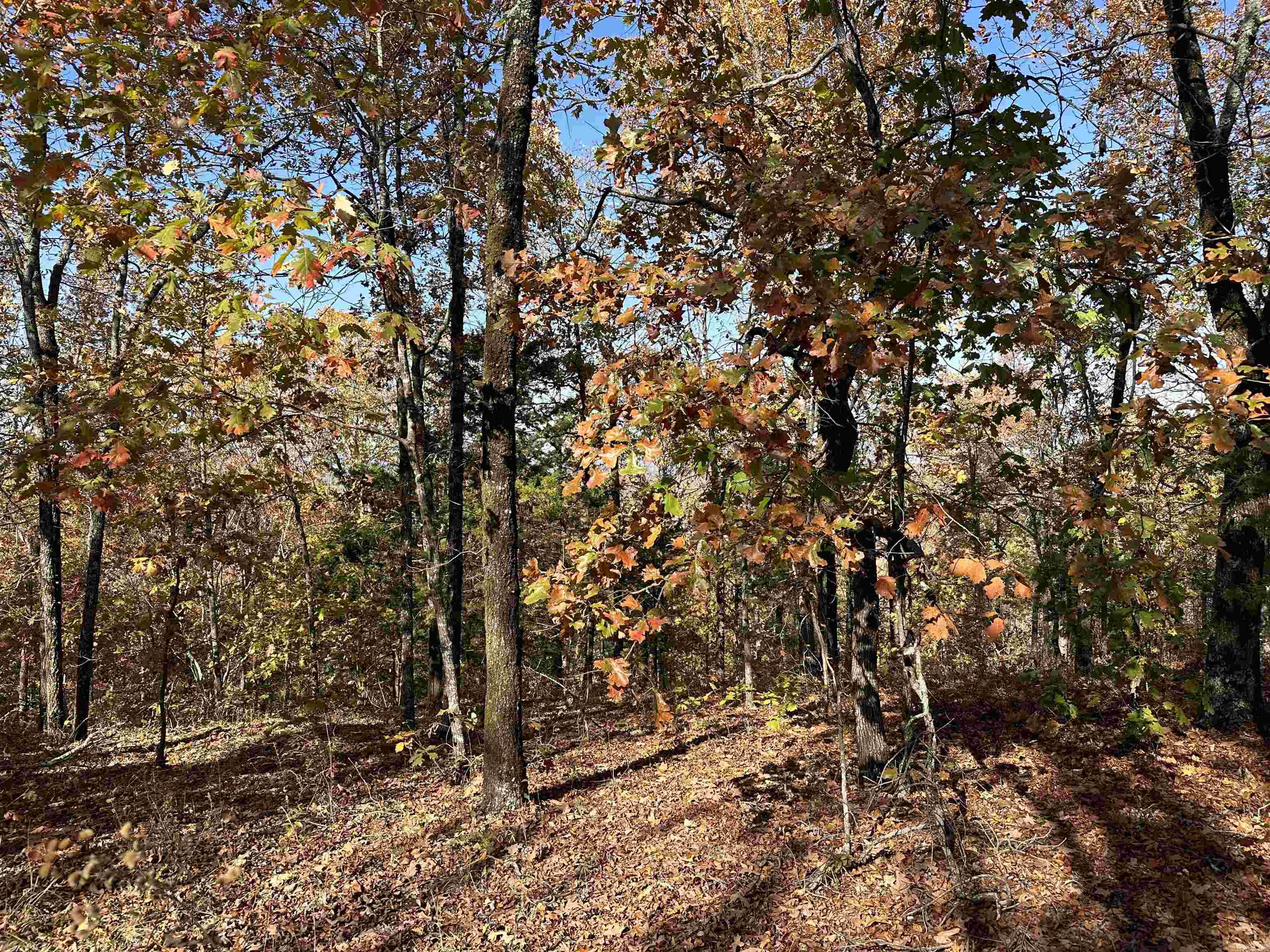 Metes & Bounds - Land