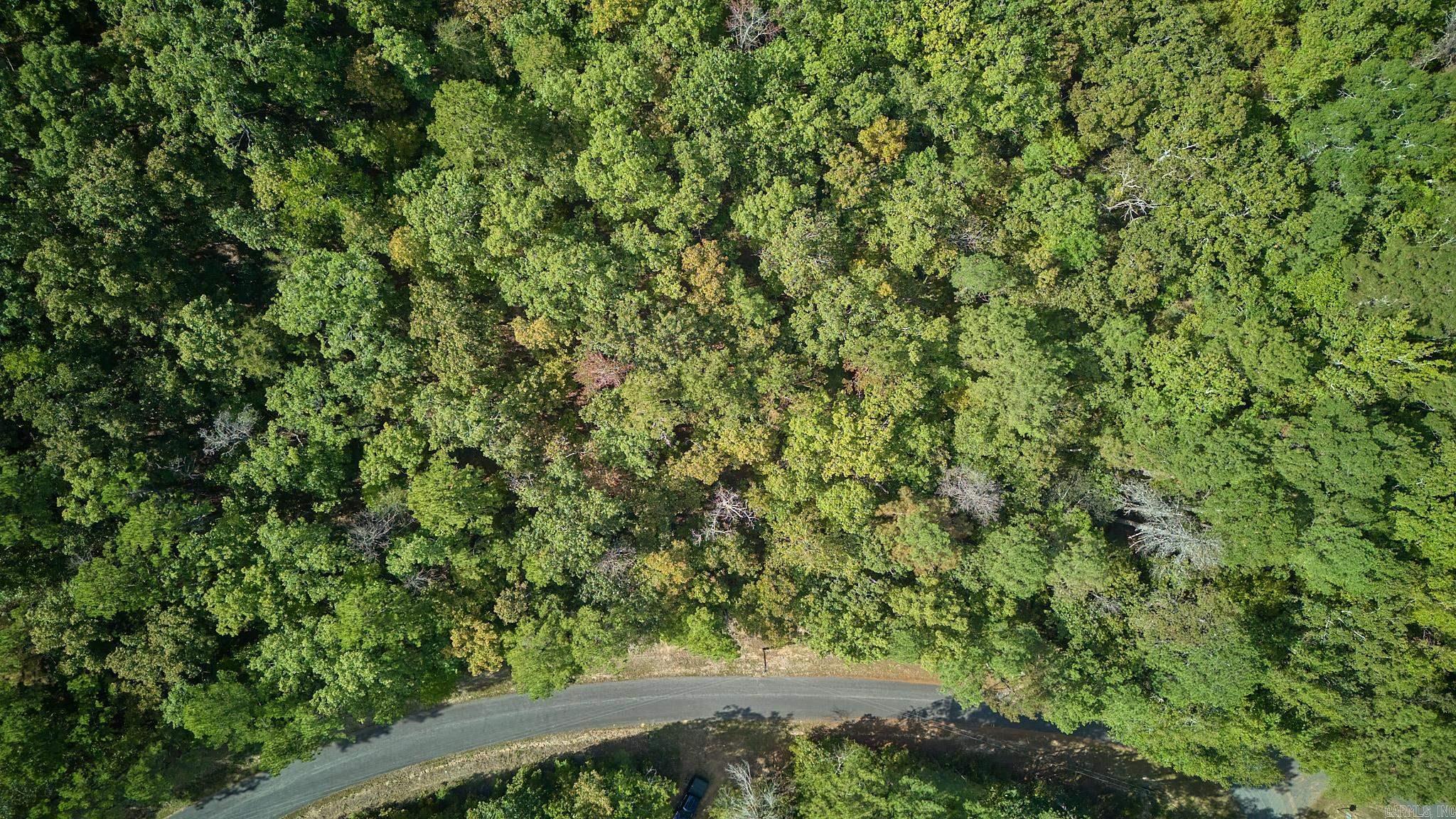 Lake Catherine Lakeview - Land