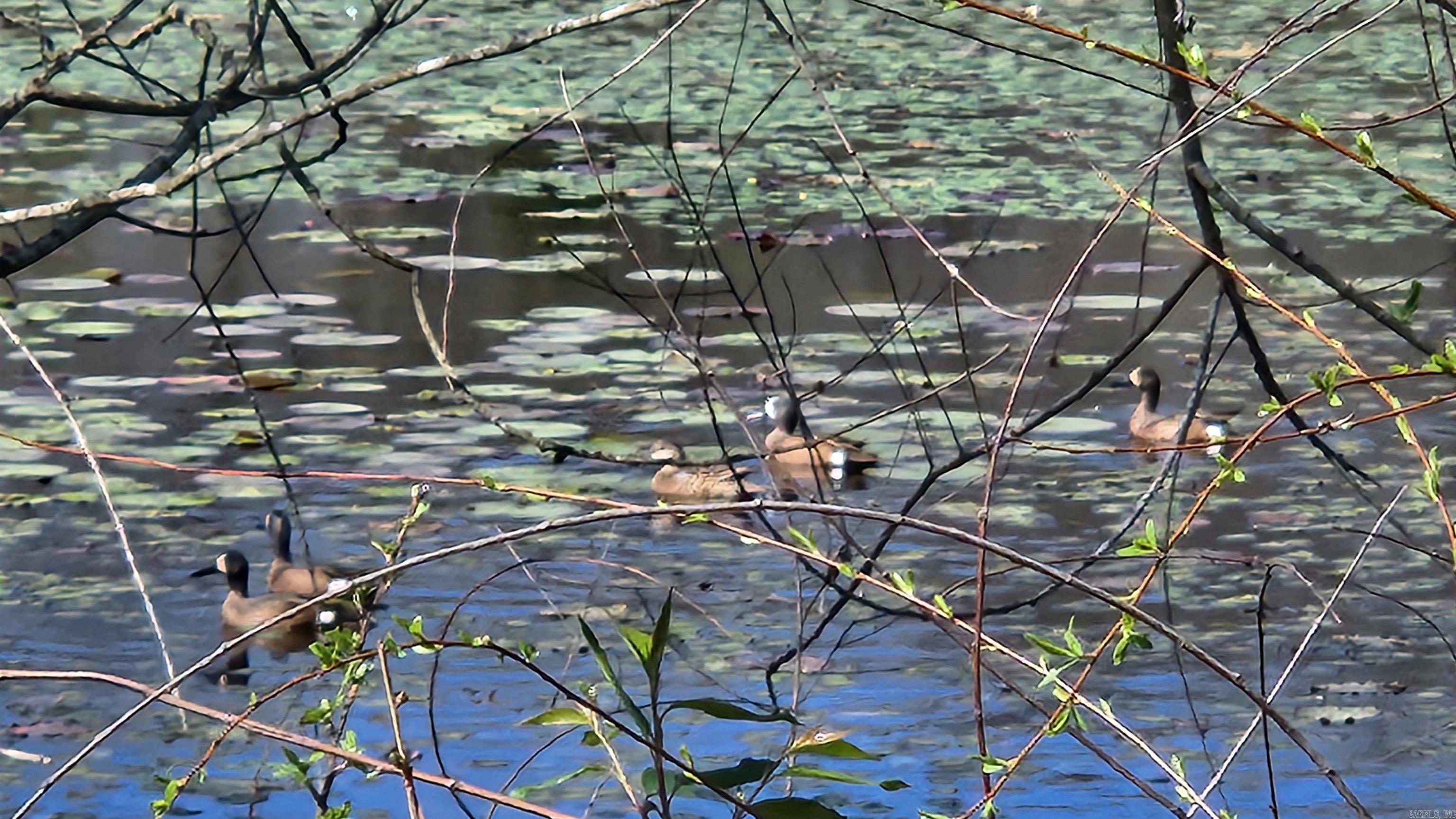 REVAS RETREAT - Land