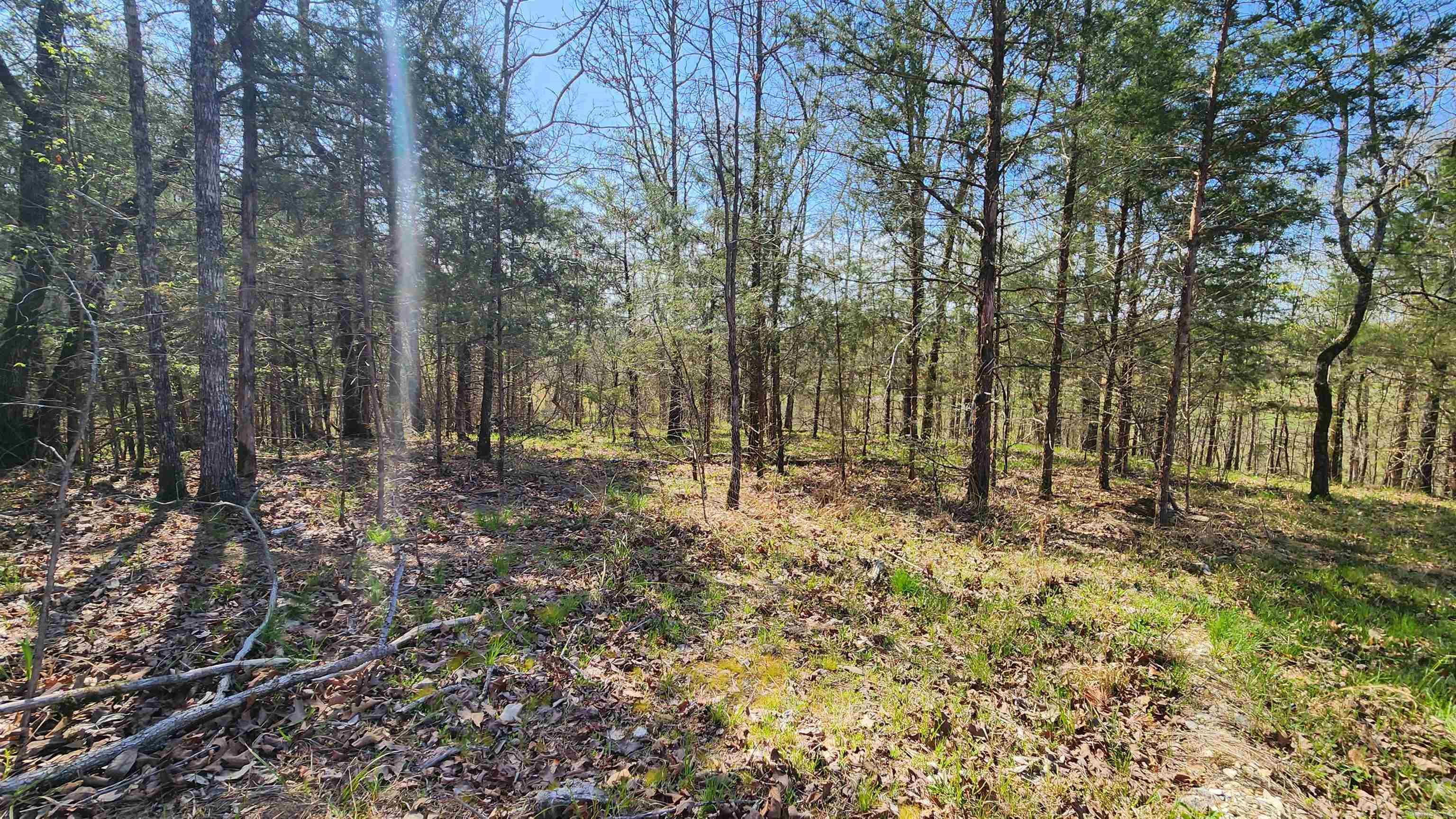 REVAS RETREAT - Land