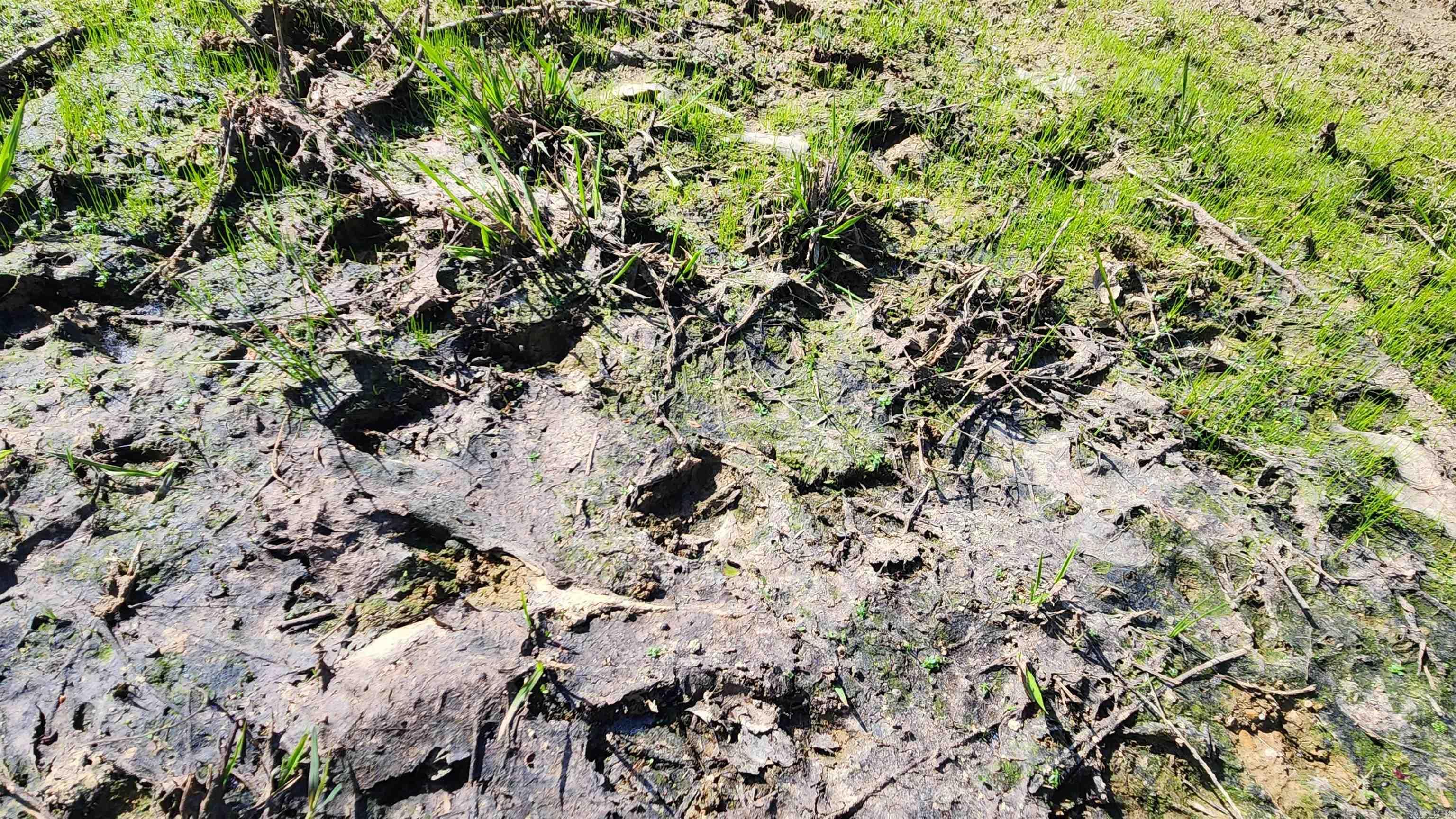 REVAS RETREAT - Land