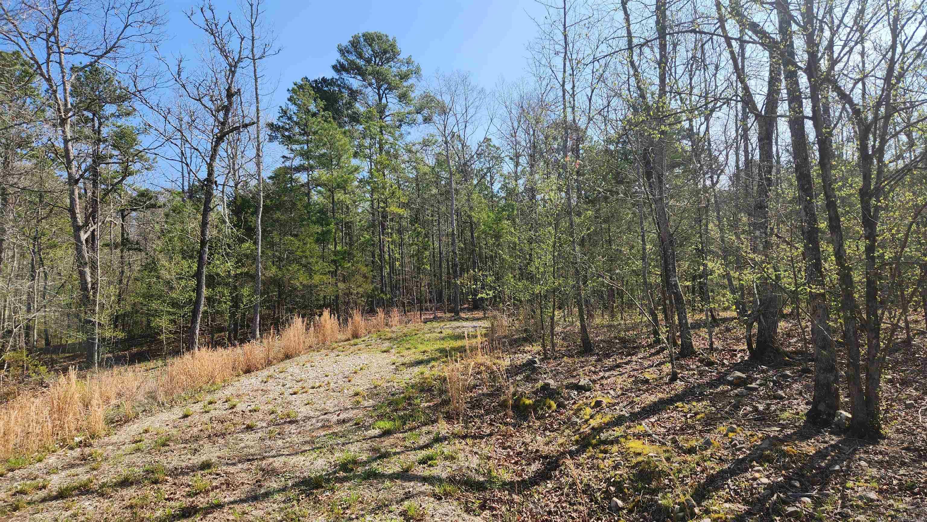 REVAS RETREAT - Land