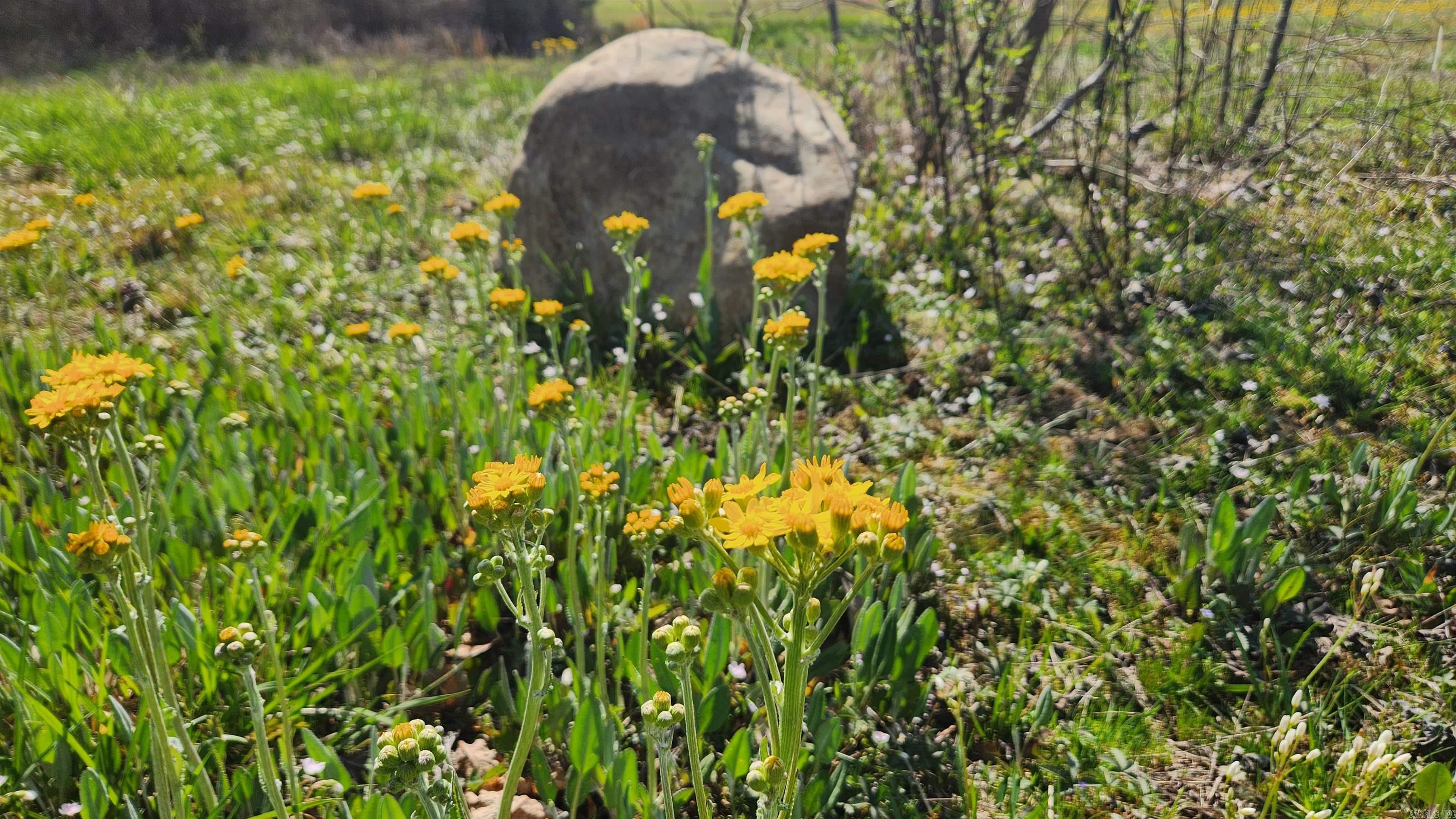 REVAS RETREAT - Land