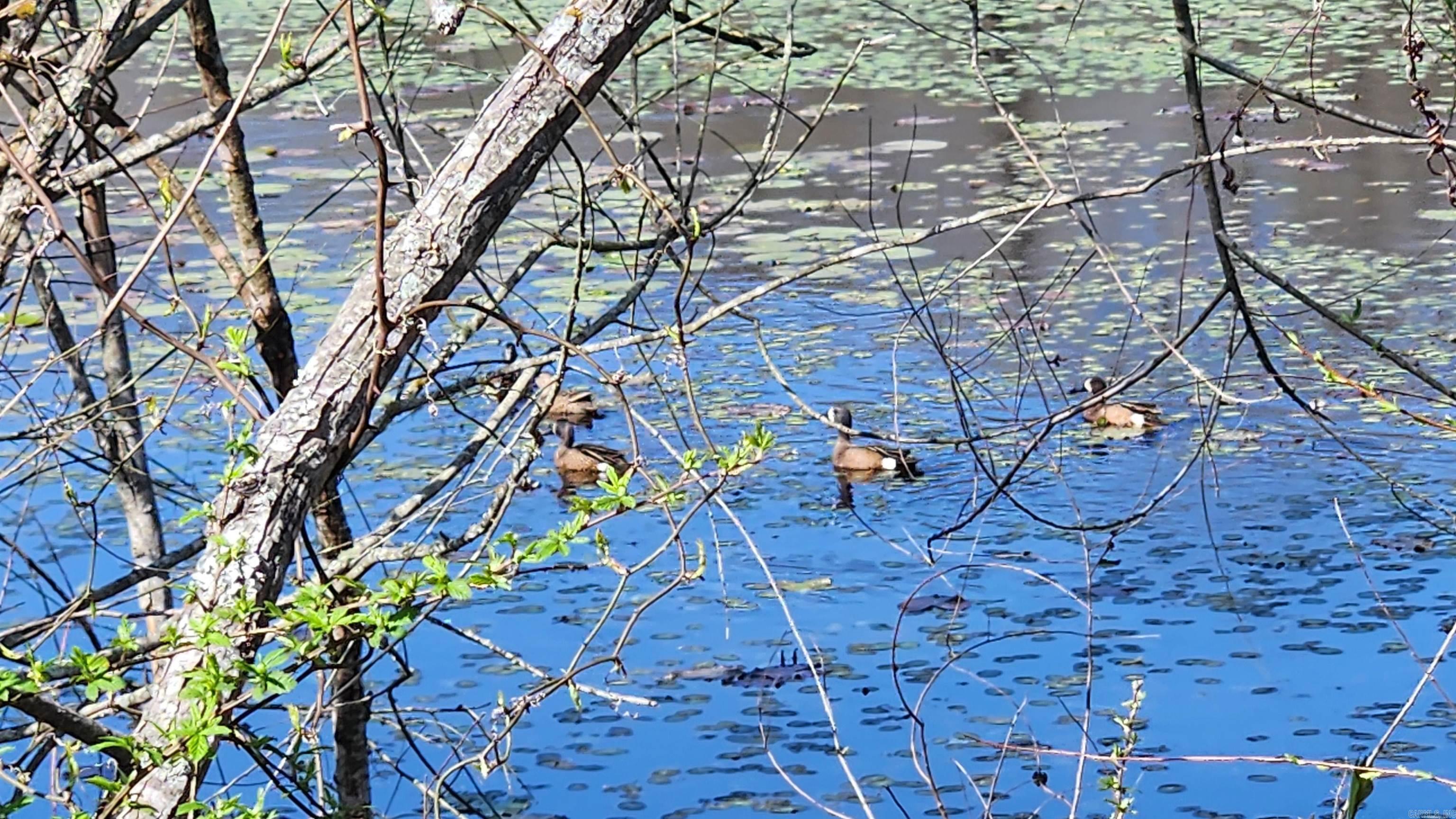 REVAS RETREAT - Land