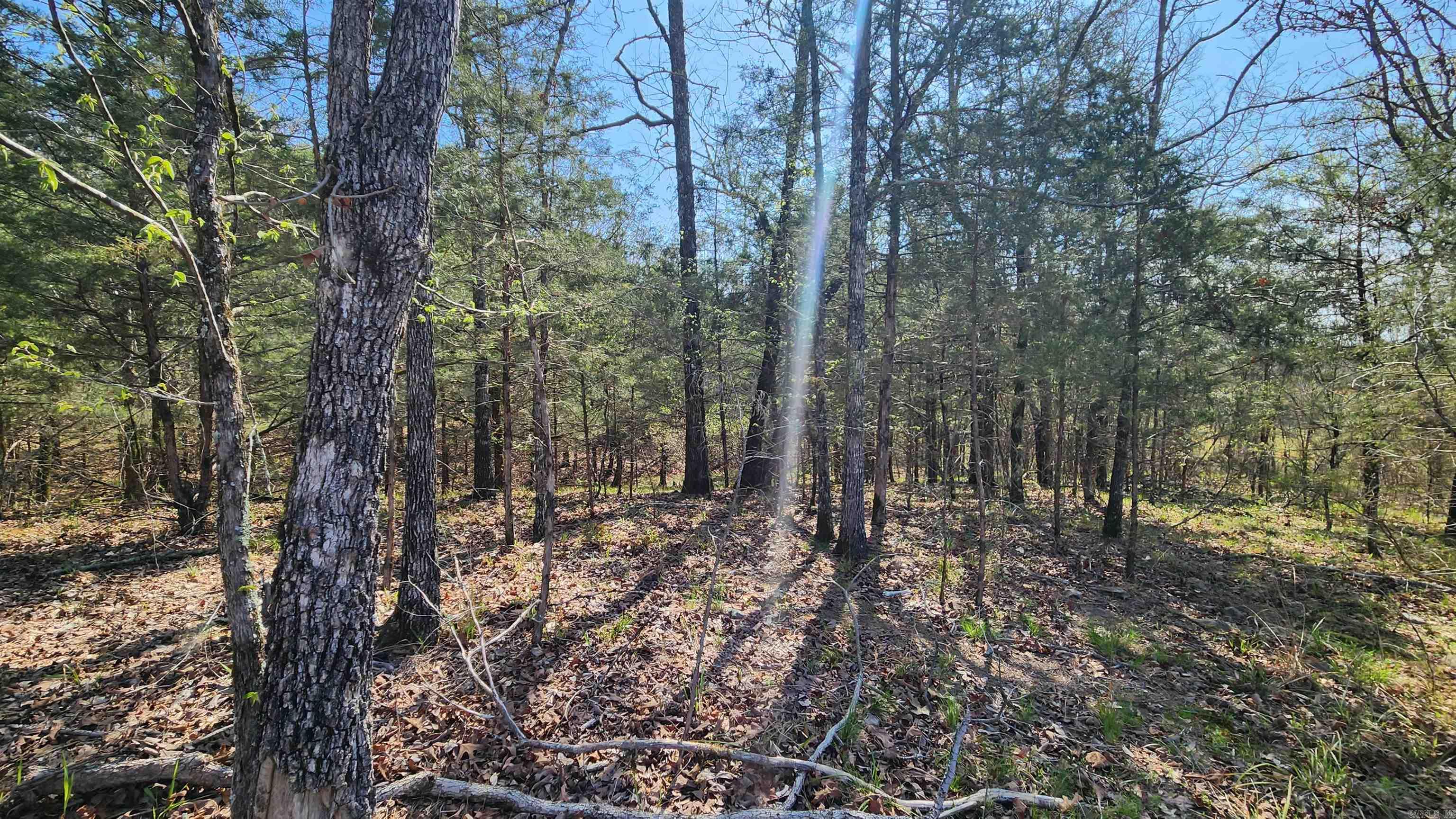 REVAS RETREAT - Land