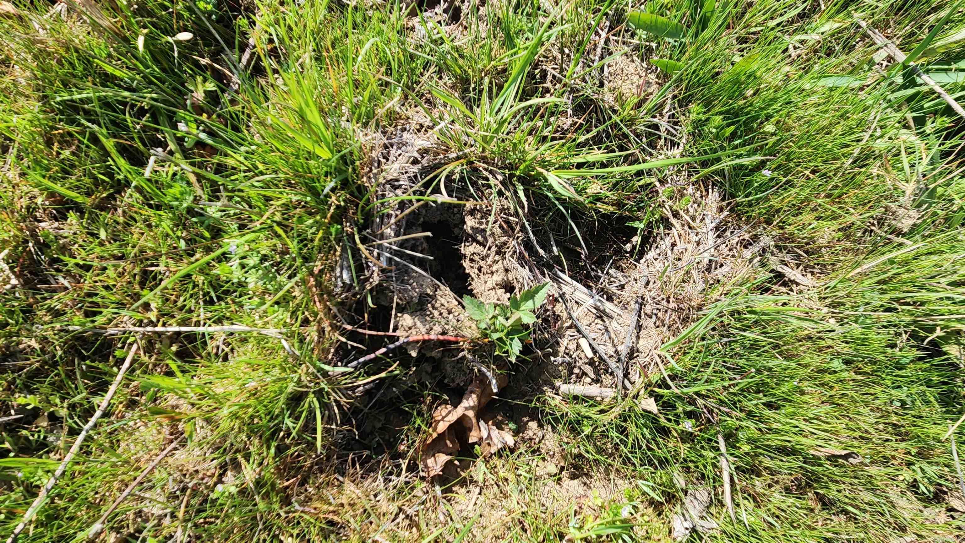 REVAS RETREAT - Land