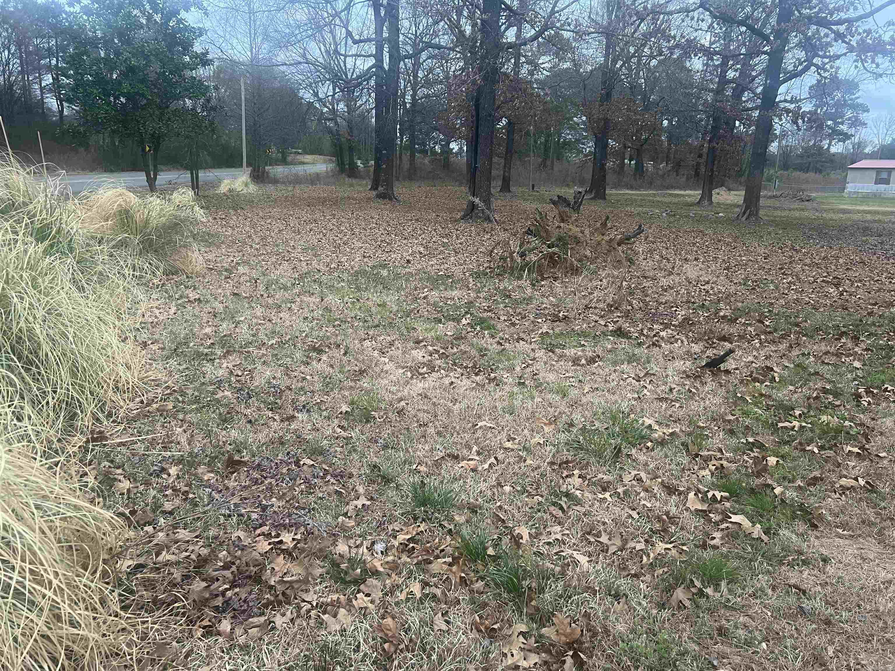 Melrose - Residential